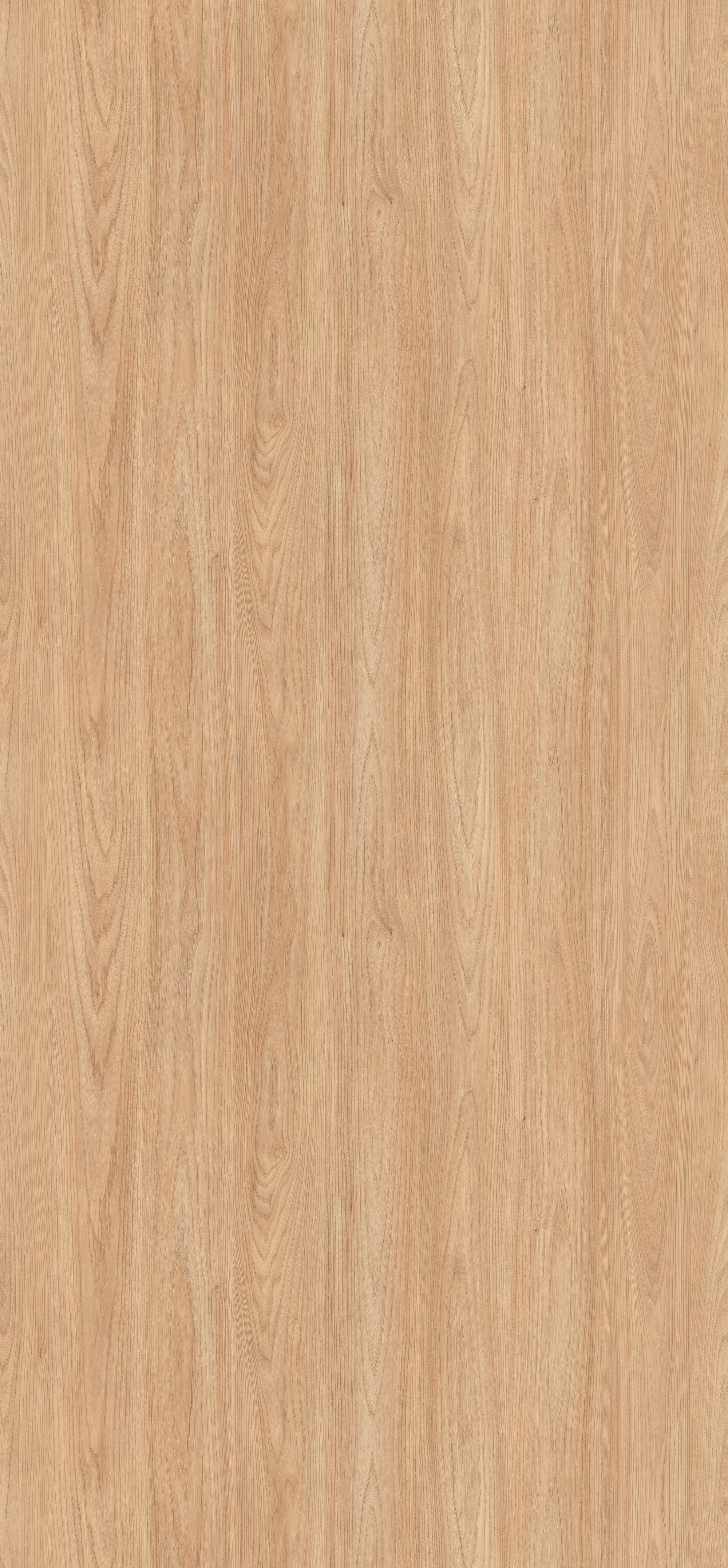 Egger Schichtstoff H1242 ST10 in heller Eichenoptik mit natürlicher Maserung. Robuste, abriebfeste und lichtechte HPL-Platte (0,8 mm) im Türenformat 2150x950 mm mit antimikrobieller Oberfläche.