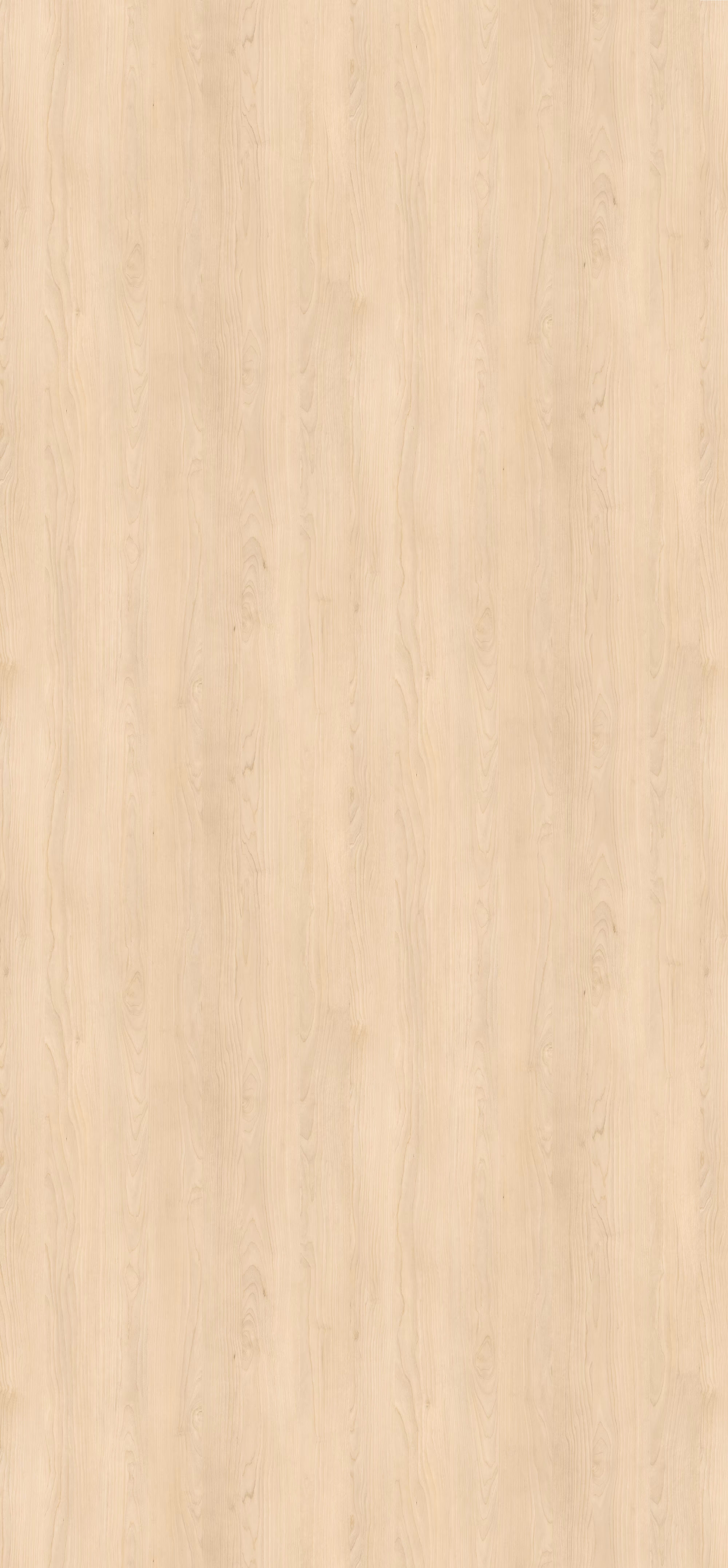 Egger Schichtstoff H1732 ST9 im Türenformat 2150x950x0,8 mm: Helle Holzoptik mit feiner Maserung. Lichtechtes, abriebfestes und antimikrobielles HPL, ideal für langlebige Oberflächen.