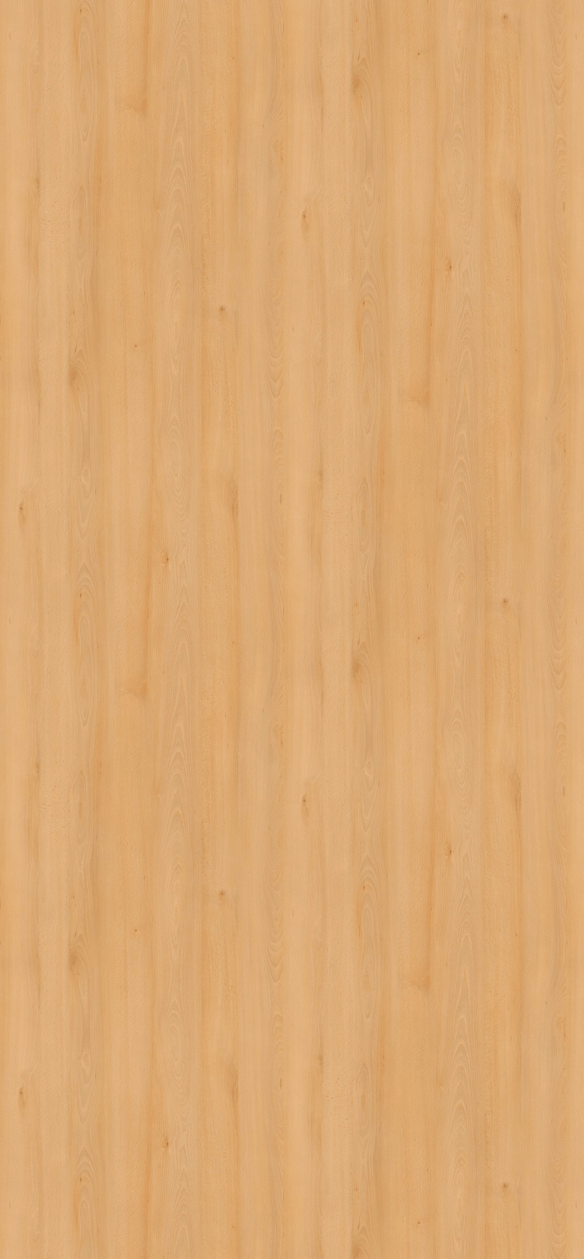 egger-08-mm-egger-schichtstoff-tuerenformat-h1910-st9-08x1020x2150mm-recyclebar-abriebfest-hpl-high-pressure-laminate-lichtecht-antimikrobielle-oberflaeche-holz-01 Egger Schichtstoff H1910 ST9: Lichtechte, abriebfeste HPL-Platte in hellem Holzdesign mit feiner Maserung. Antimikrobielle, recyclebare Qualität im Türenformat 2150x1020x0,8 mm für langlebige…