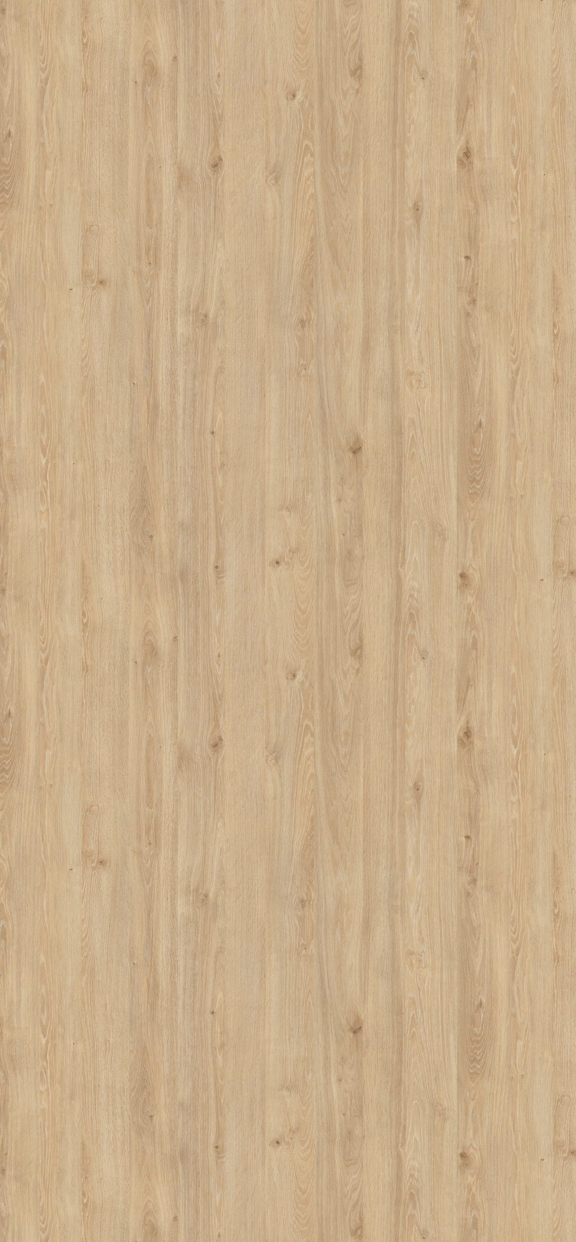 Egger HPL-Schichtstoff H3131 ST12 in heller Eichenoptik mit natürlicher Maserung. Abriebfeste, lichtechte und antimikrobielle Oberfläche im Türenformat 2150x1020x0,8 mm. Nachhaltig und recyclebar.