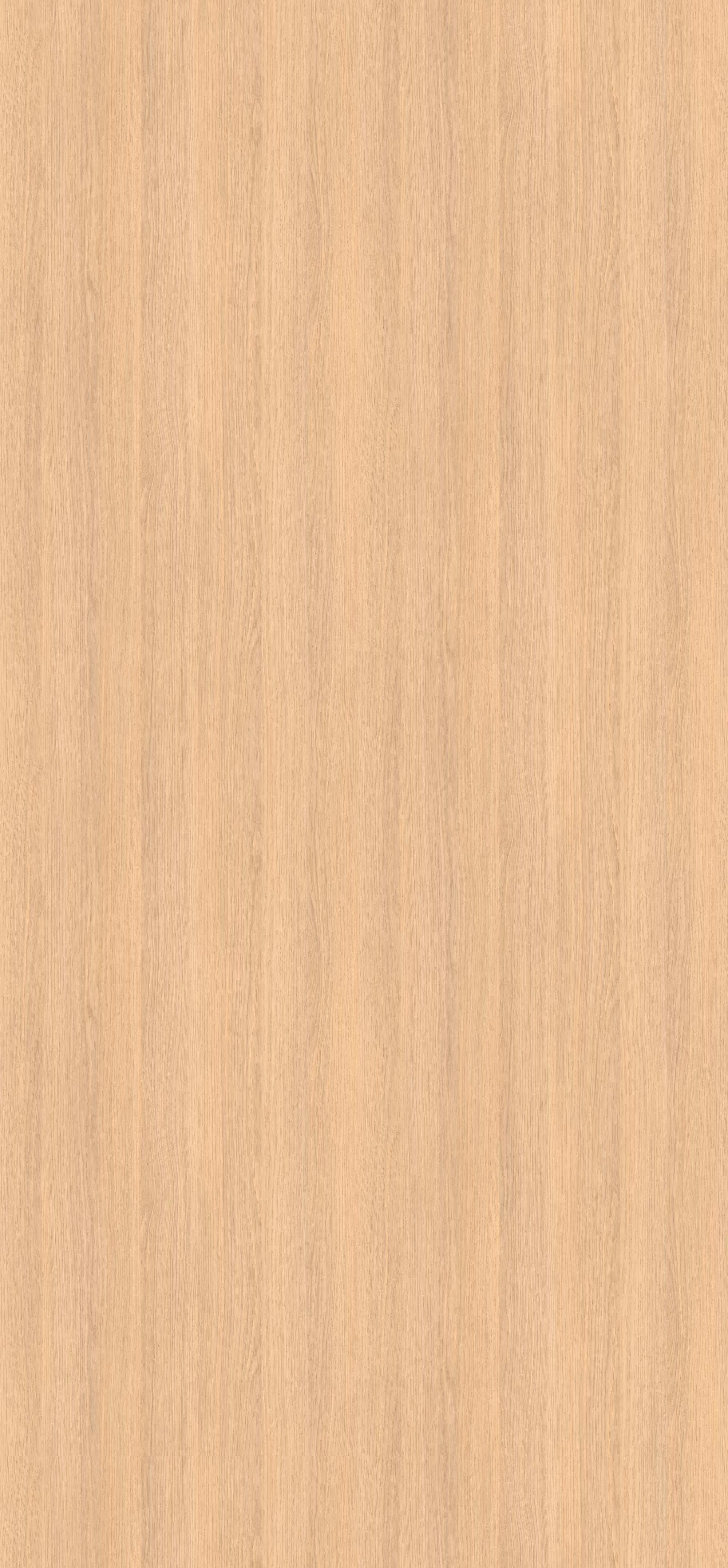Egger HPL-Schichtstoff H3152 ST19 in hellem Holzdesign: abriebfeste, lichtechte und antimikrobielle Platte (2150x1020x0,8 mm) mit natürlicher Maserung, ideal für langlebige, recyclebare Türen.