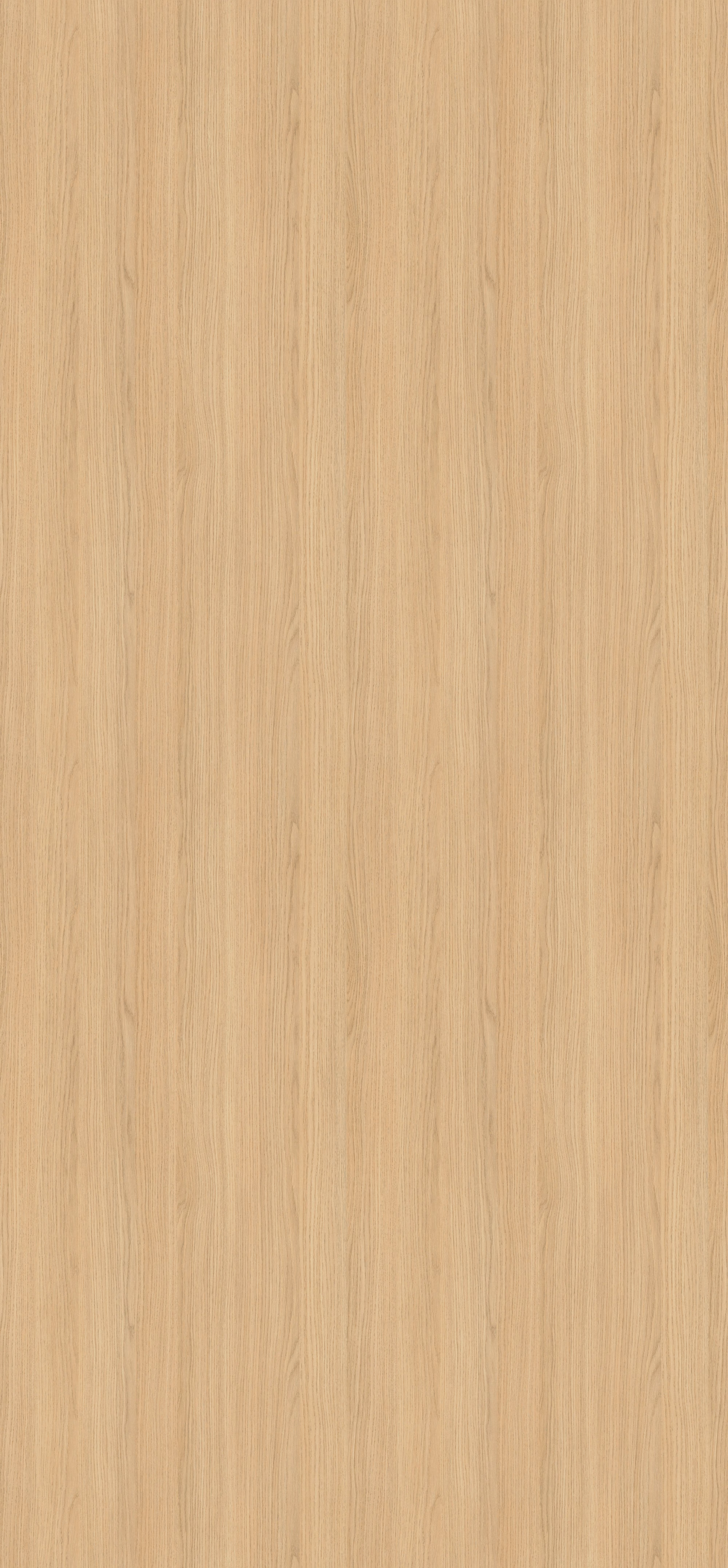 egger-08-mm-egger-schichtstoff-tuerenformat-h3157-st12-08x950x2150mm-recyclebar-abriebfest-hpl-high-pressure-laminate-lichtecht-antimikrobielle-oberflaeche-holz-02 EGGER Schichtstoffplatte H3157 ST12 im hellen Eichen-Look. Abriebfeste, antimikrobielle 0,8 mm HPL-Platte im Türenformat 2150x950mm mit feiner Holzmaserung.