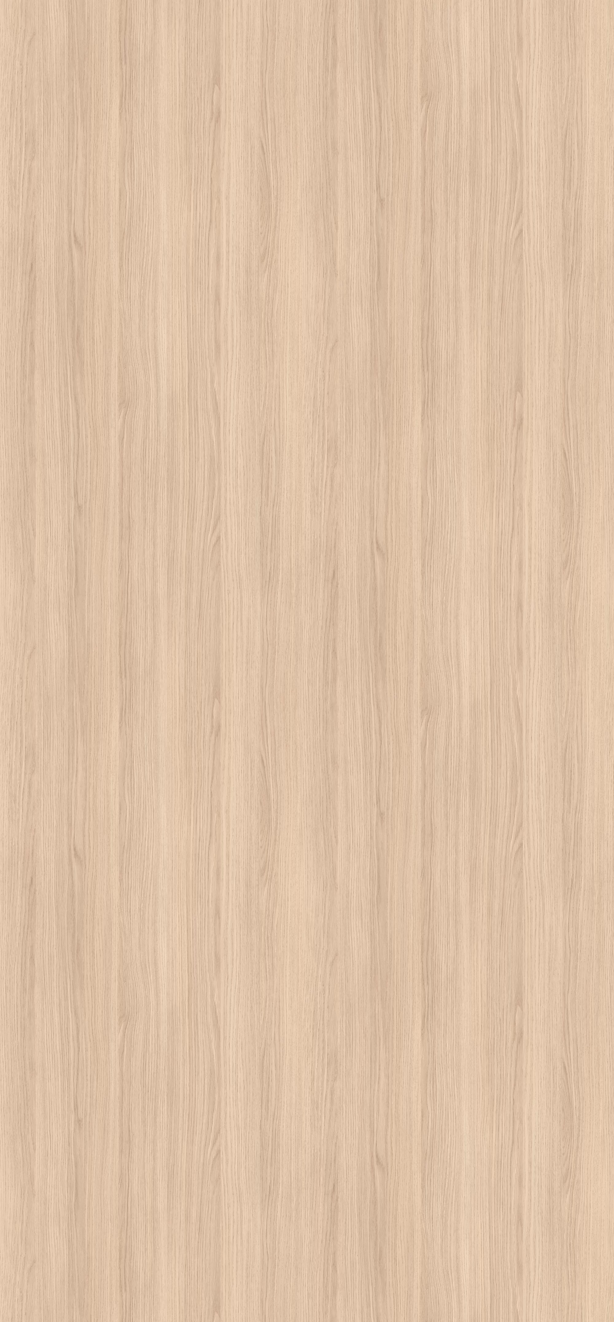 Egger HPL-Schichtstoff H3165 ST12 in hellem Eichendekor, 0,8 mm Stärke, 950x2150 mm. Die abriebfeste, lichtechte und antimikrobielle Oberfläche besticht durch eine natürlich feine Holzmaserung.…