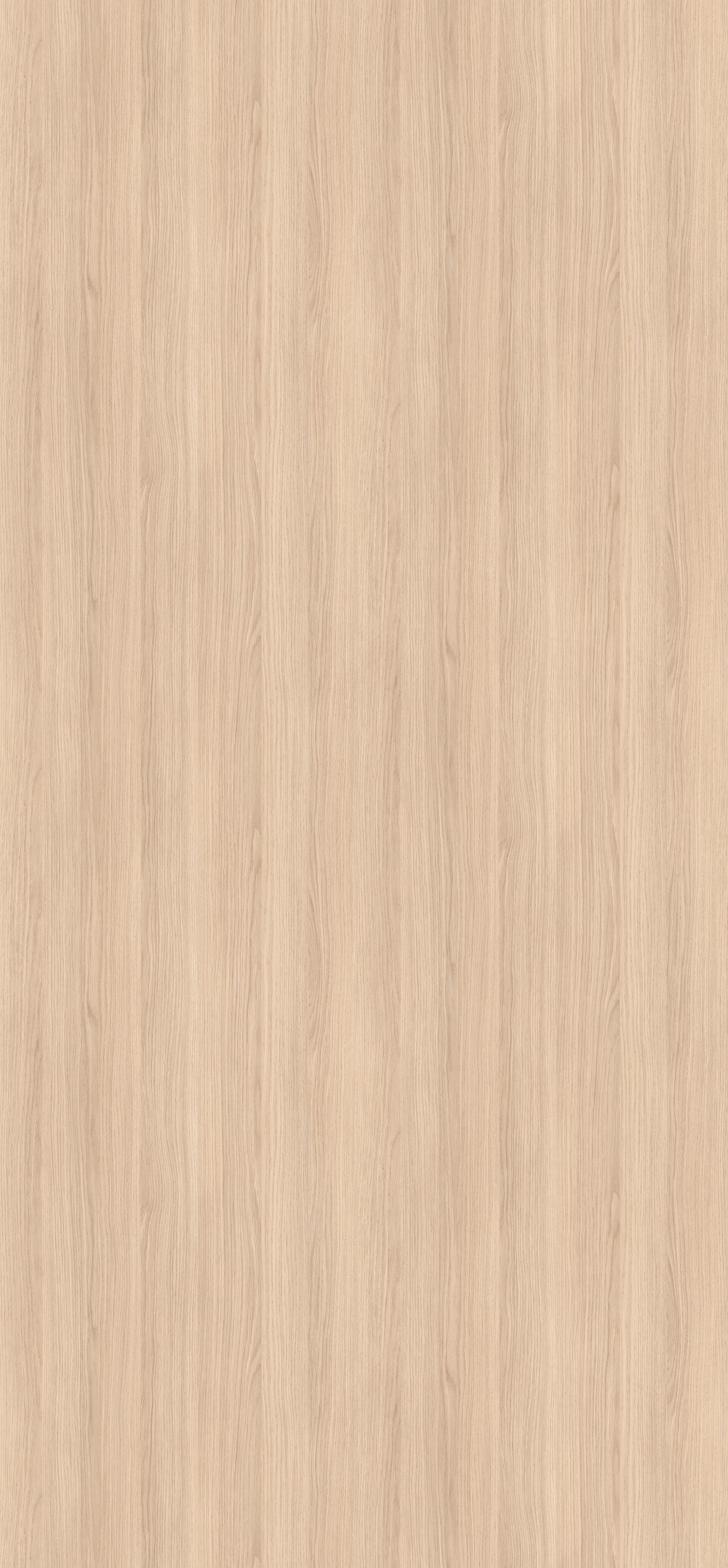 Helles Eichendekor der abriebfesten Egger Schichtstoffplatte H3165 ST12 im Türenformat (2150x950x0,8mm). Lichtechte HPL-Oberfläche, antimikrobiell.
