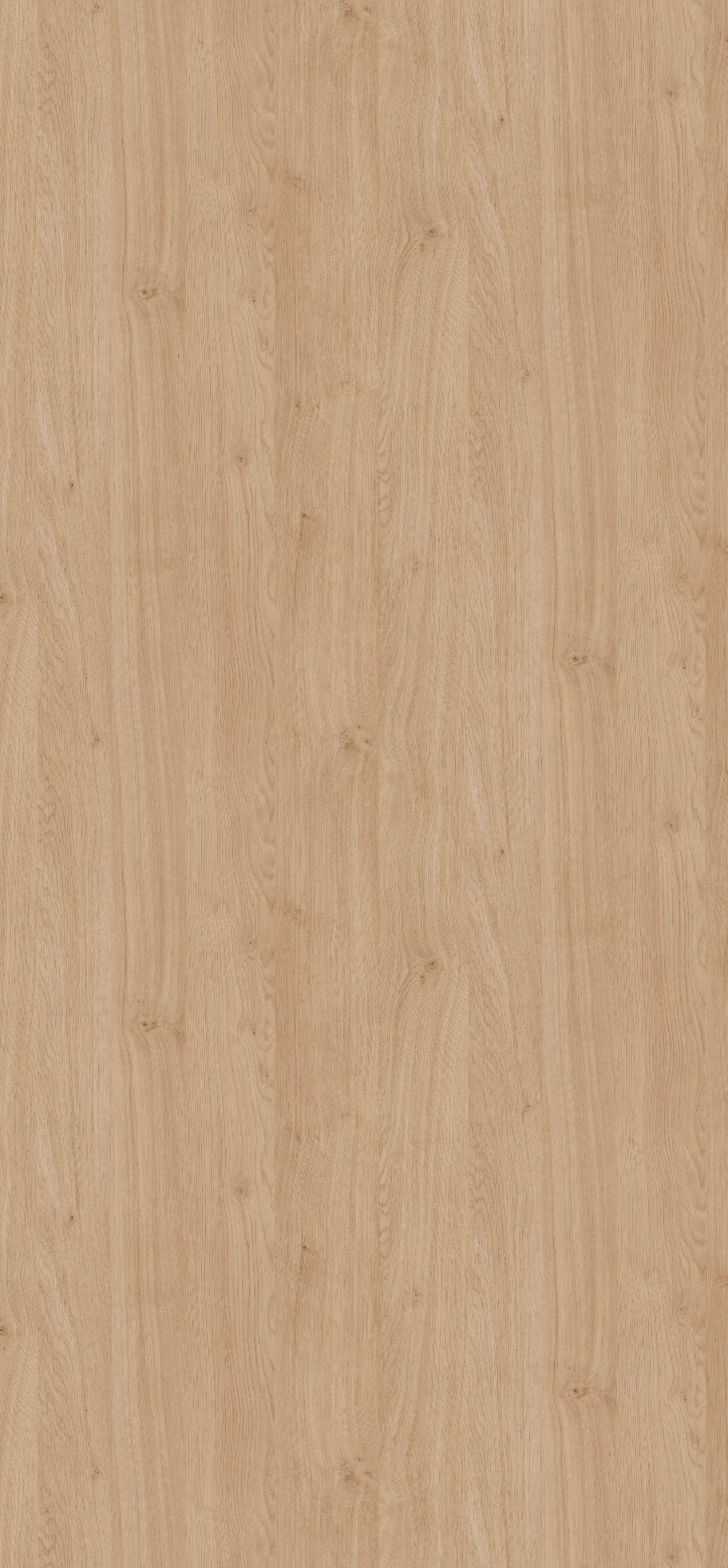 egger-08-mm-egger-schichtstoff-tuerenformat-h3170-st12-08x950x2150mm-recyclebar-abriebfest-hpl-high-pressure-laminate-lichtecht-antimikrobielle-oberflaeche-holz-01 Egger Schichtstoff H3170 ST12 in Eichenoptik: 0,8 mm starke, abriebfeste HPL-Platte (950x2150 mm) mit natürlicher Maserung, antimikrobieller Oberfläche, lichtecht und nachhaltig recyclebar.