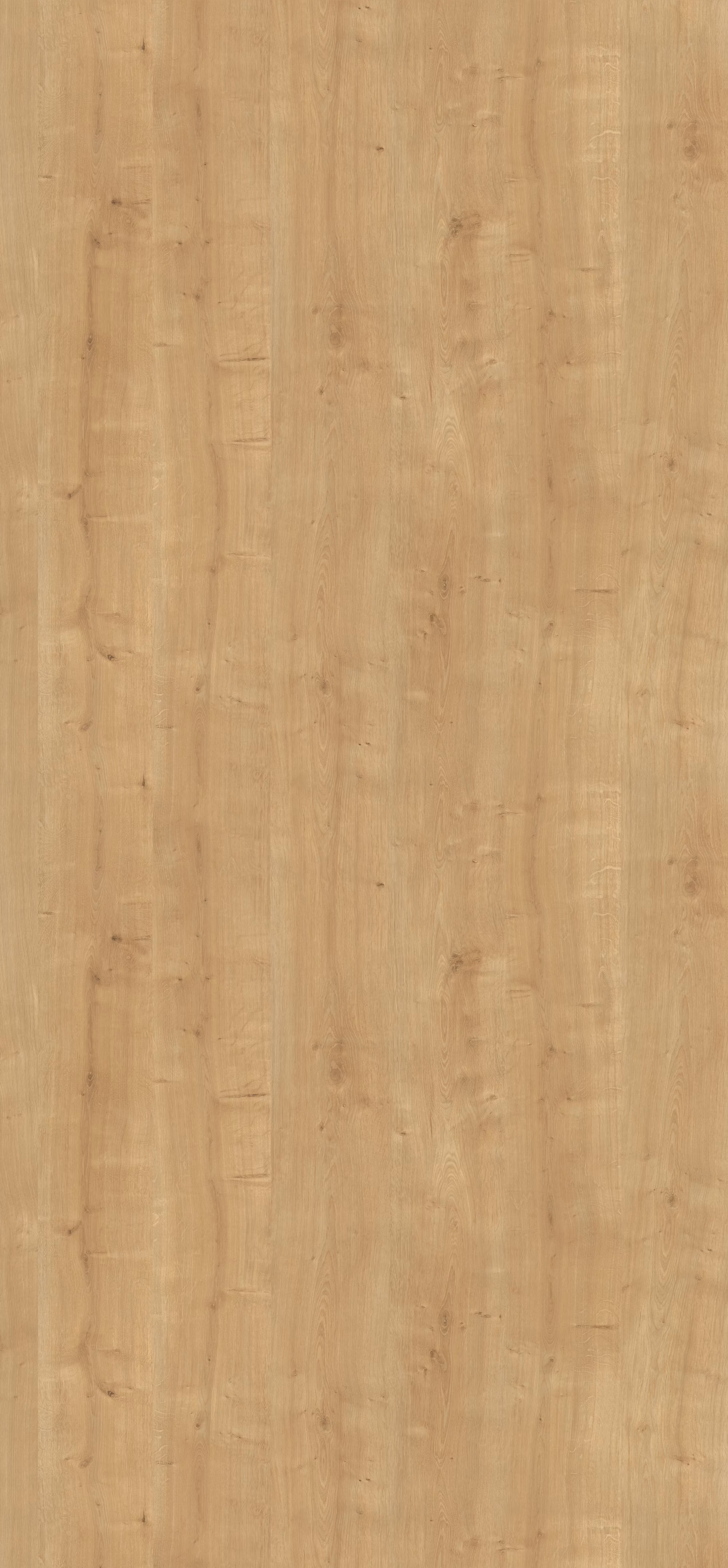 Egger HPL-Schichtstoff H3303 ST10 in Eichenoptik: Abriebfeste, lichtechte und antimikrobielle HPL-Platte (0,8 mm) mit natürlicher Maserung im Türenformat 2150x1020 mm. Nachhaltig und recyclebar.