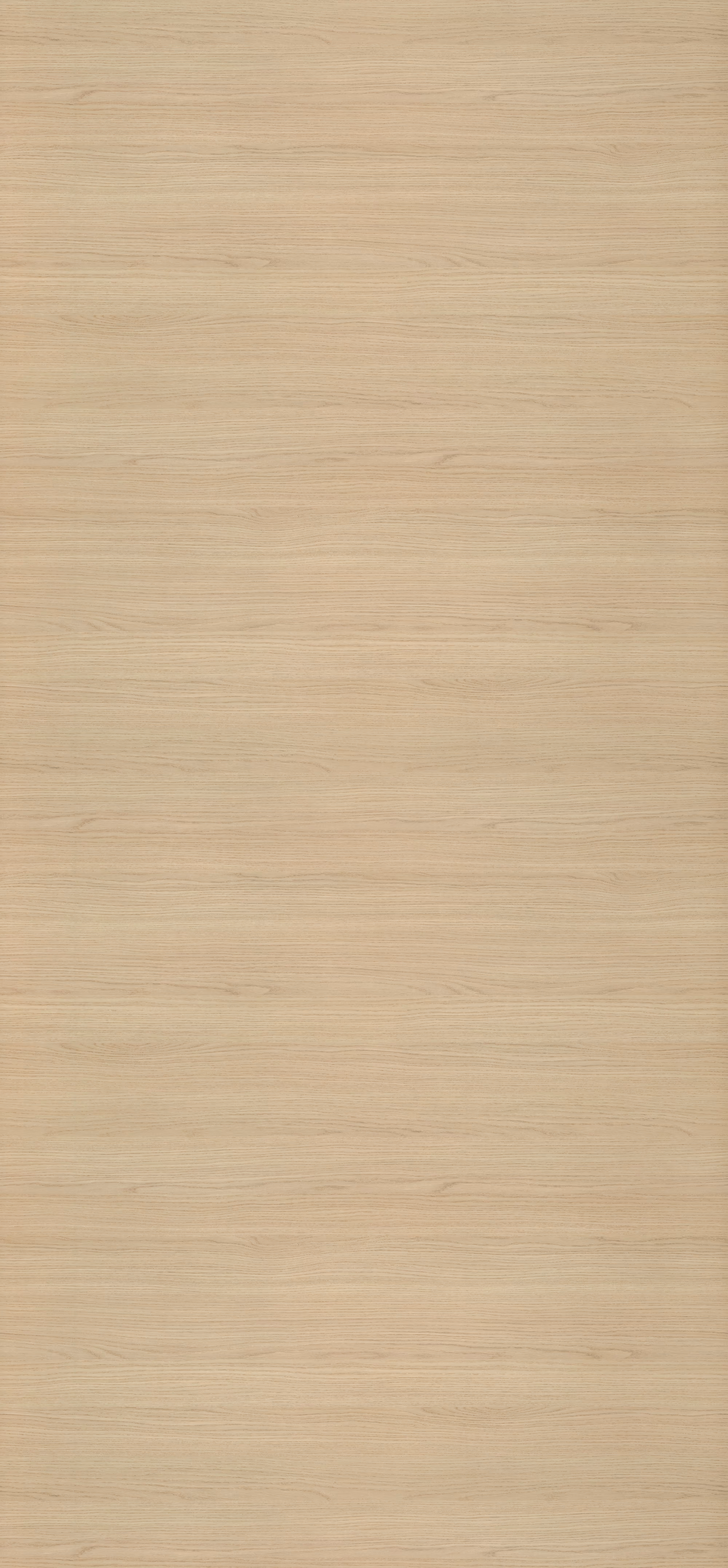 Egger HPL-Schichtstoff H357 STG4 im Türenformat 2150x950x0,8 mm. Lichtechte, abriebfeste und antimikrobielle Platte in heller Holzoptik mit feiner Maserung. Nachhaltig und recyclebar.