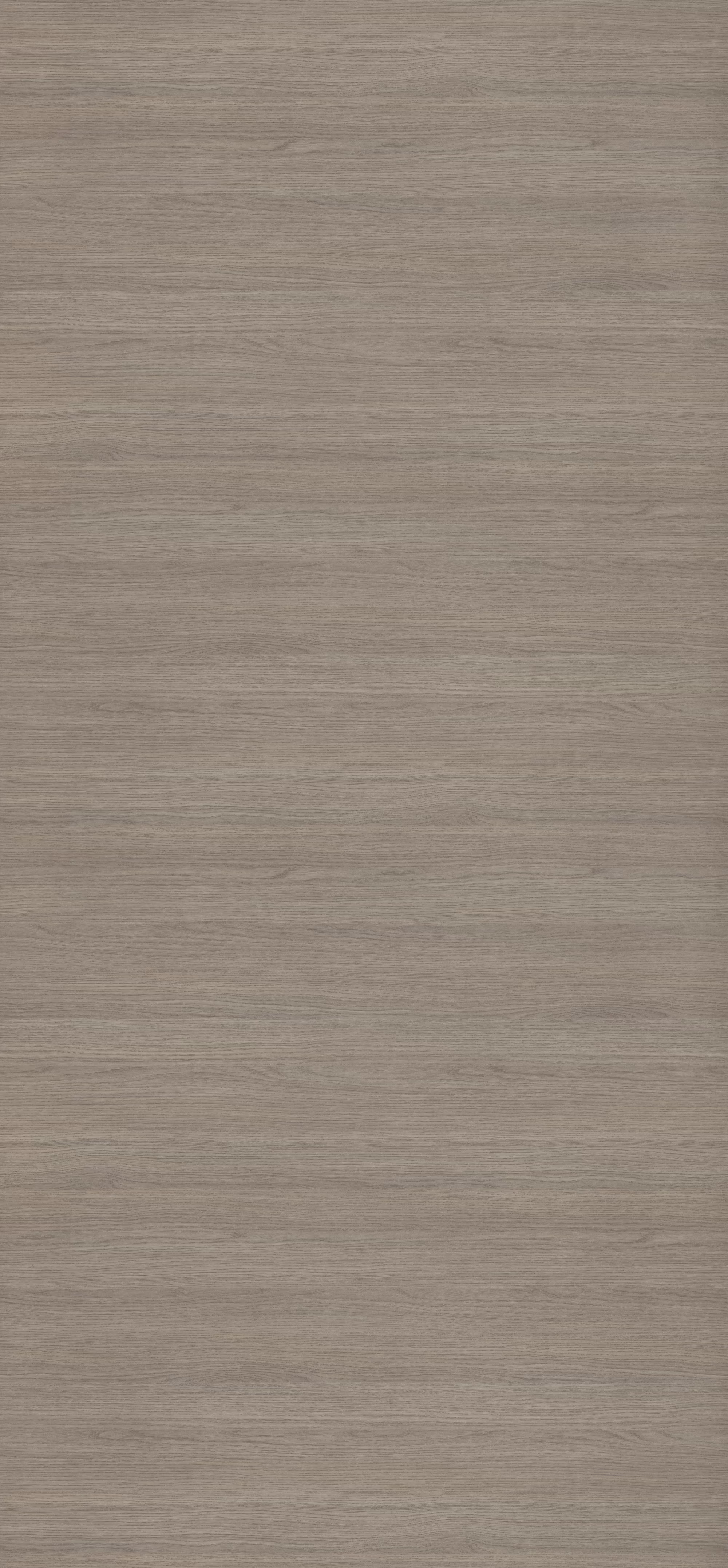 Egger HPL-Schichtstoff H358 STG4 im Türenformat 2150x1020x0,8 mm. Lichtechte, abriebfeste Platte in grauem Holzdekor mit feiner Maserung, antimikrobiell, nachhaltig und langlebig.