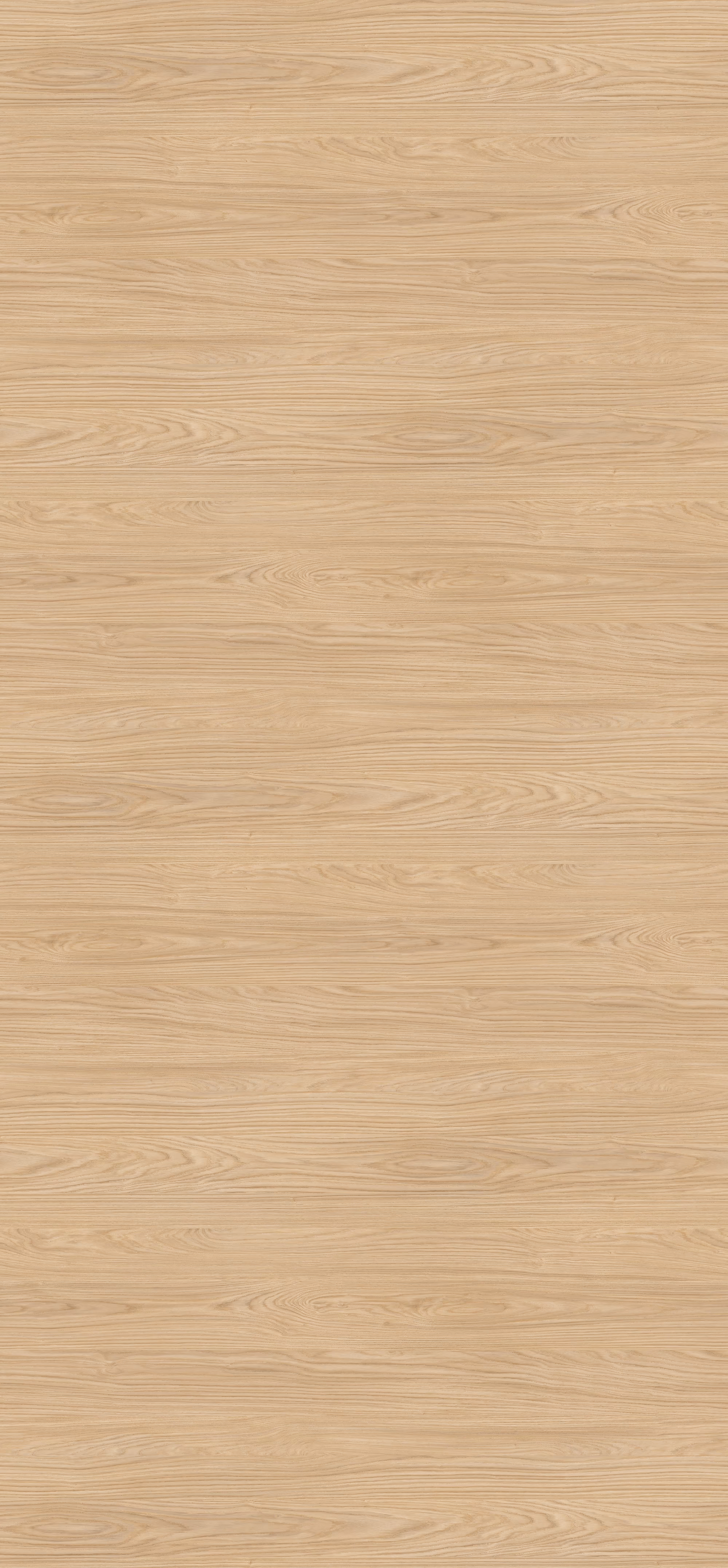 Egger HPL-Schichtstoff H367 ST71 in hellem Eichen-Dekor mit natürlicher Maserung. Robuste, abriebfeste und lichtechte 0,8 mm Platte (2150x950 mm) mit antimikrobieller Oberfläche, ideal für Türen.
