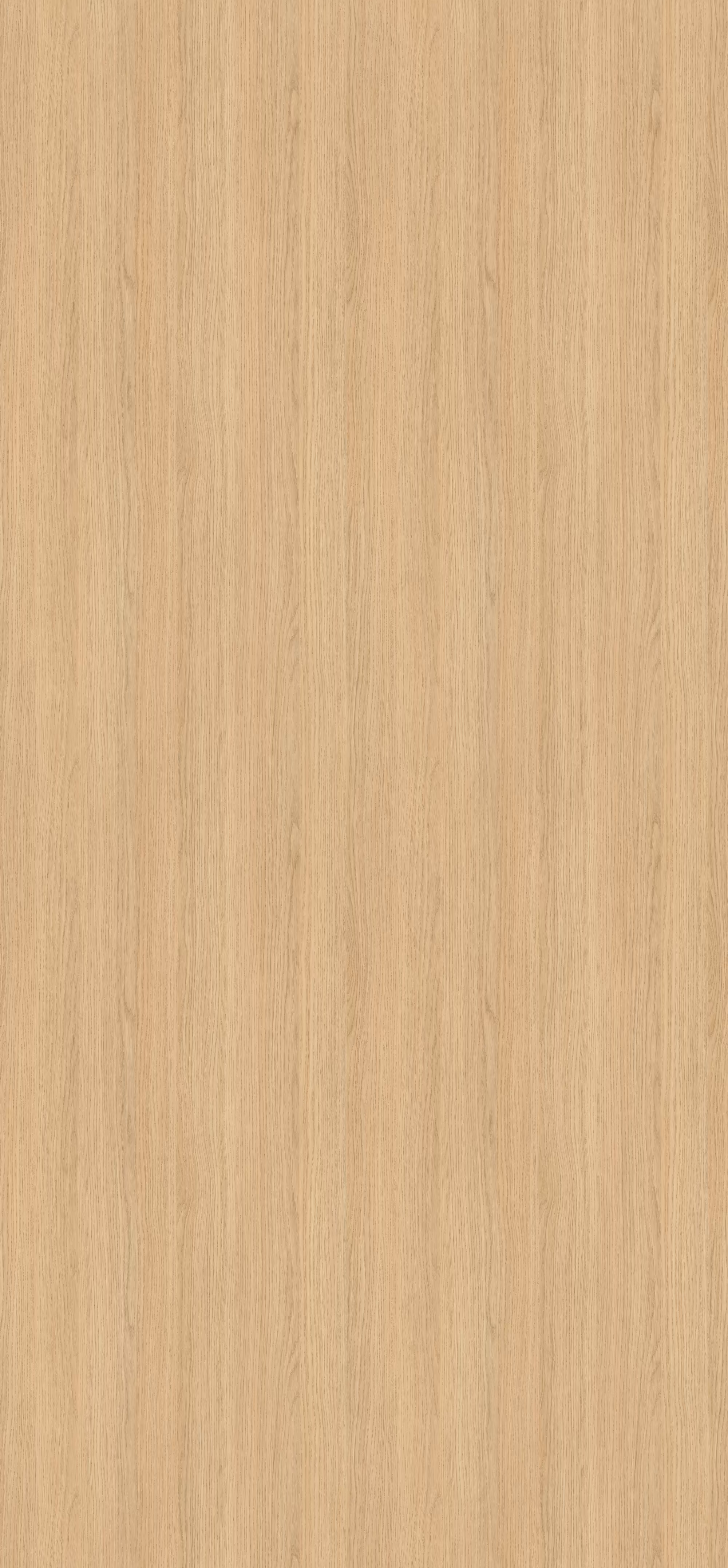 egger-38-mm-egger-arbeitsplatte-h3157-st12-38x920x4100mm-abriebfest-kratzfest-fleckenunempfindlich-antibakterielle-oberflaeche-vertraeglich-mit-haushaltsueblichen-reinigern-lich-01 38 mm Egger Arbeitsplatte H3157 ST12_egger-38-mm-egger-arbeitsplatte-h3157-st12-38x920x4100mm-abriebfest-kratzfest-fleckenunempfindlich-antibakterielle-oberflaeche-vertraeglich-mit-haushaltsueblichen-reinigern-lich-01
