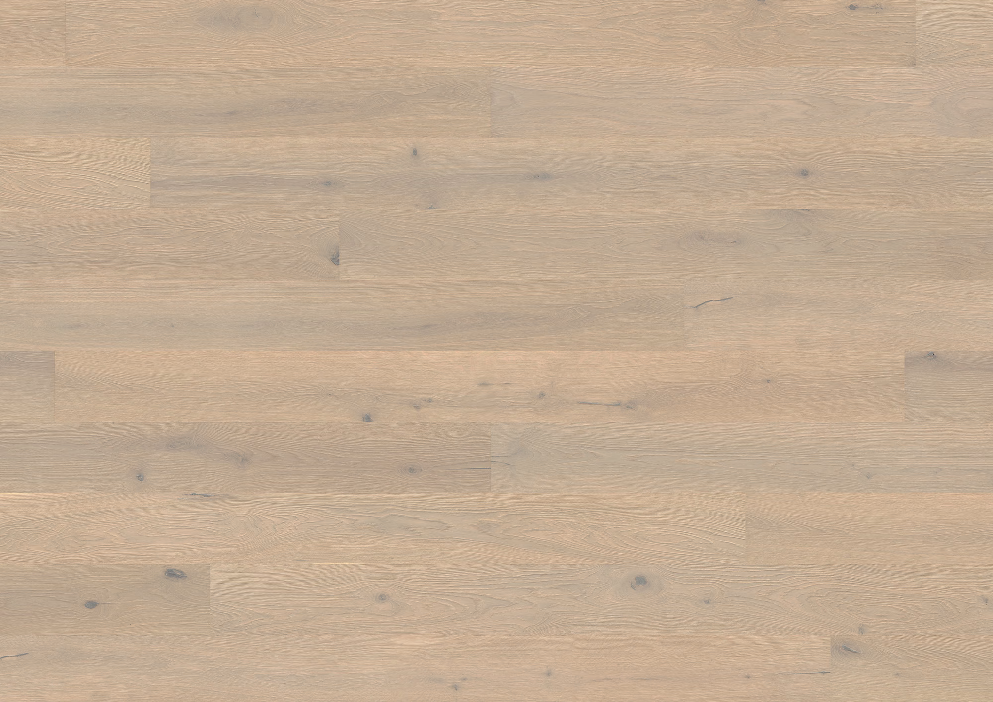 Naturgeöltes ter Hürne Parkett Eiche Park Avenue in hellbeige mit rustikaler Maserung und Ästen. 14 mm stark, Blauer Engel zertifiziert.