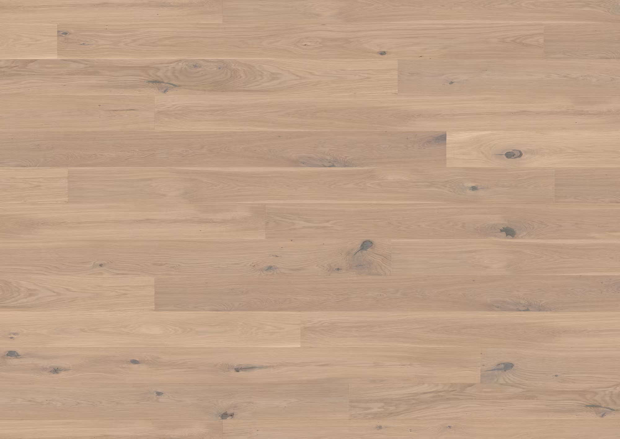 ter-huerne-13-mm-ter-huerne-parkett---eiche-cremant-13x162x2190mm-eiche-naturgeoelt-blauer-engel-30-jahre-im-wohnbereich-nein-landhausdiele-02 13 mm ter Hürne Parkett - Eiche Cremant