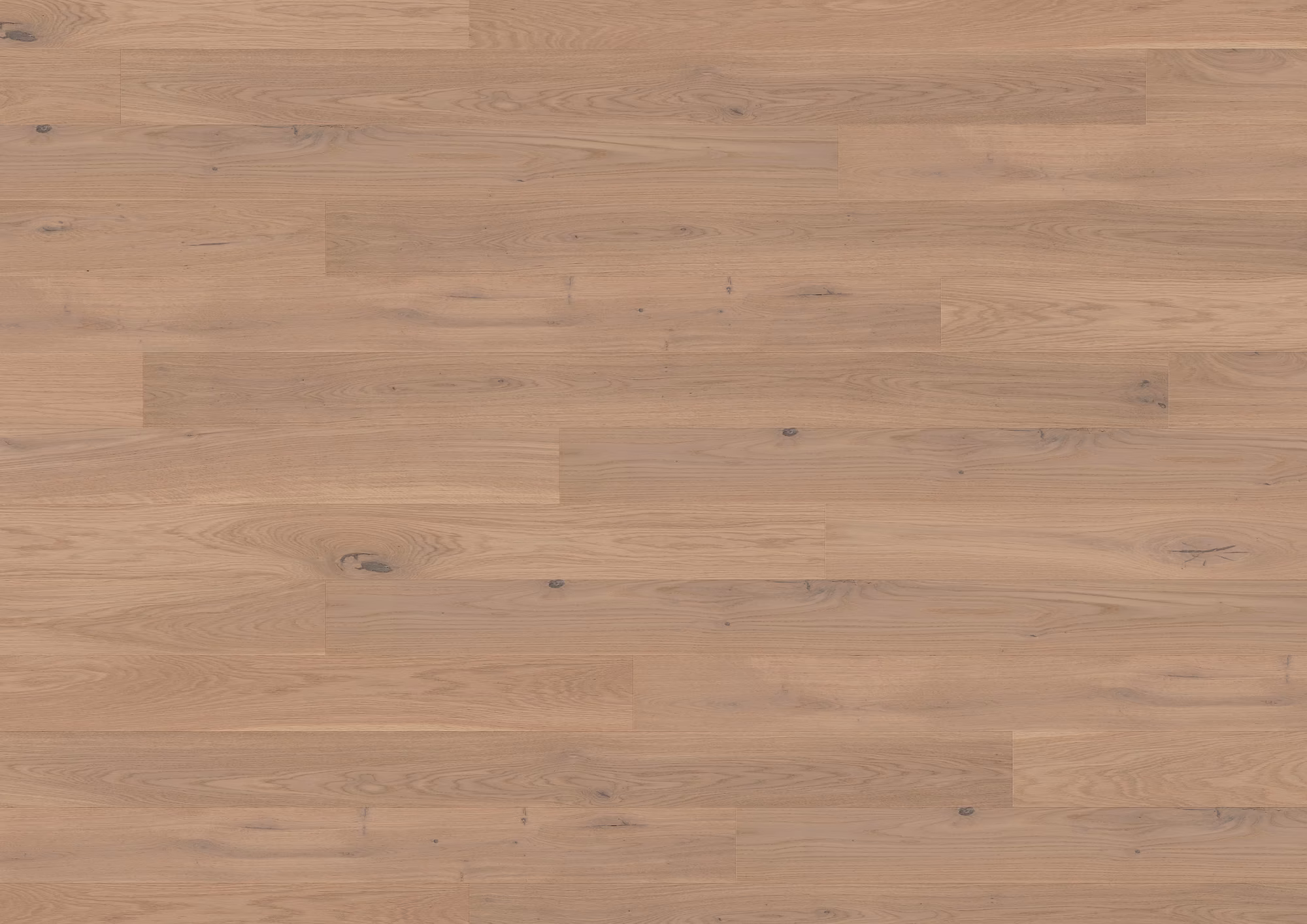 ter-huerne-13-mm-ter-huerne-parkett---eiche-beaujolais-13x162x2190mm-eiche-naturgeoelt-blauer-engel-30-jahre-im-wohnbereich-nein-landhausdiele-02 13 mm ter Hürne Parkett - Eiche Beaujolais_ter-huerne-13-mm-ter-huerne-parkett---eiche-beaujolais-13x162x2190mm-eiche-naturgeoelt-blauer-engel-30-jahre-im-wohnbereich-nein-landhausdiele-02