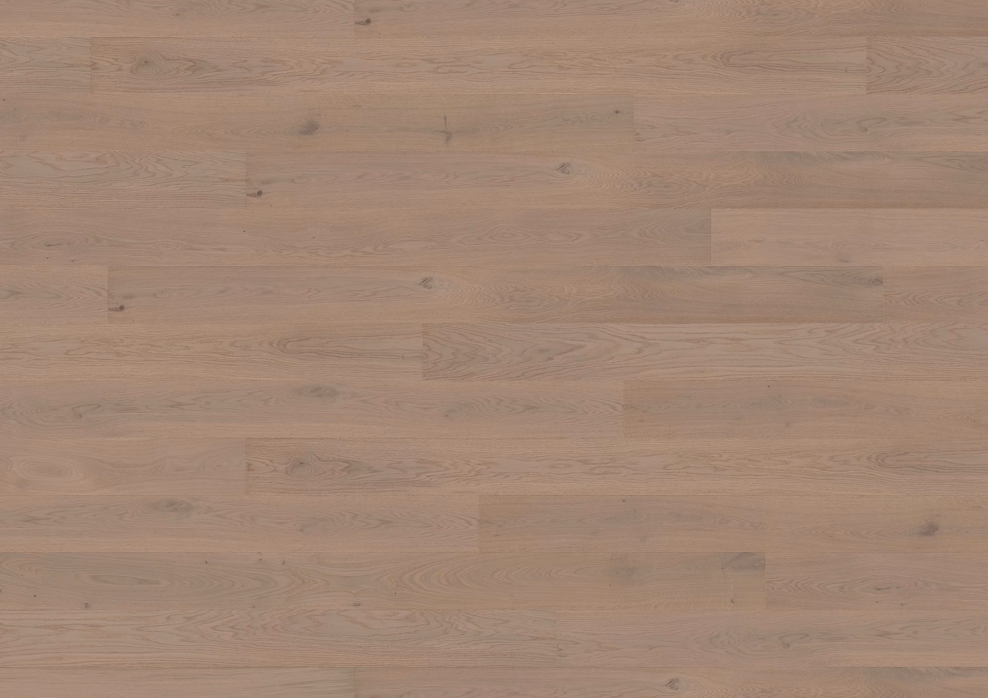 ter-huerne-13-mm-ter-huerne-parkett---eiche-chablis-13x162x2190mm-eiche-blauer-engel-30-jahre-im-wohnbereich-nein-landhausdiele-mattlackiert-02 13 mm ter Hürne Parkett - Eiche Chablis_ter-huerne-13-mm-ter-huerne-parkett---eiche-chablis-13x162x2190mm-eiche-blauer-engel-30-jahre-im-wohnbereich-nein-landhausdiele-mattlackiert-02