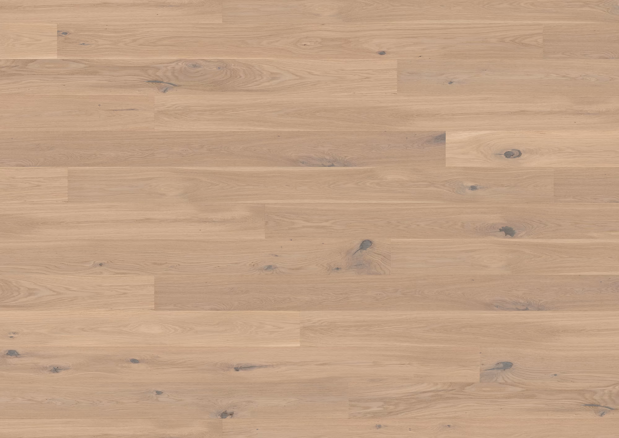 ter-huerne-13-mm-ter-huerne-parkett---eiche-sancerre-13x162x2190mm-eiche-blauer-engel-30-jahre-im-wohnbereich-nein-landhausdiele-mattlackiert-02 13 mm ter Hürne Parkett - Eiche Sancerre_ter-huerne-13-mm-ter-huerne-parkett---eiche-sancerre-13x162x2190mm-eiche-blauer-engel-30-jahre-im-wohnbereich-nein-landhausdiele-mattlackiert-02