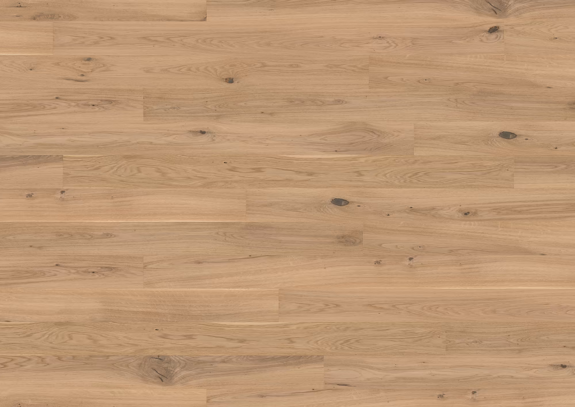 ter-huerne-13-mm-ter-huerne-parkett---eiche-napa-13x162x2190mm-eiche-blauer-engel-30-jahre-im-wohnbereich-nein-landhausdiele-mattlackiert-02 13 mm ter Hürne Parkett - Eiche Napa_ter-huerne-13-mm-ter-huerne-parkett---eiche-napa-13x162x2190mm-eiche-blauer-engel-30-jahre-im-wohnbereich-nein-landhausdiele-mattlackiert-02