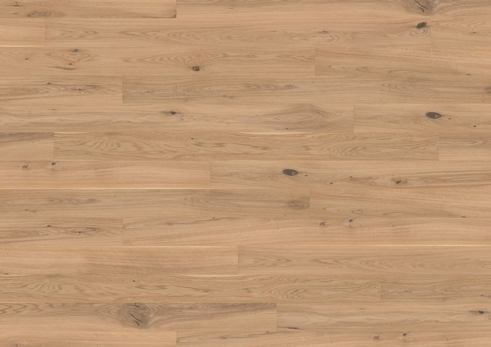 ter-huerne-13-mm-ter-huerne-parkett---eiche-napa-13x162x2190mm-eiche-blauer-engel-30-jahre-im-wohnbereich-nein-landhausdiele-mattlackiert-02 13 mm ter Hürne Parkett - Eiche Napa_ter-huerne-13-mm-ter-huerne-parkett---eiche-napa-13x162x2190mm-eiche-blauer-engel-30-jahre-im-wohnbereich-nein-landhausdiele-mattlackiert-02