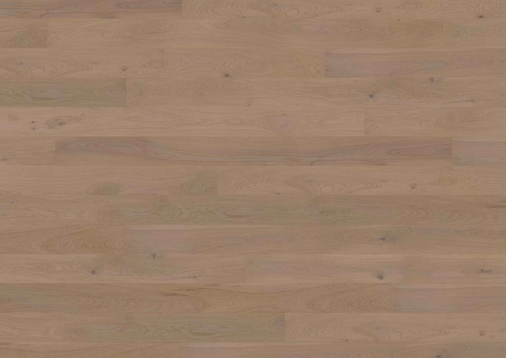 ter-huerne-13-mm-ter-huerne-parkett---eiche-chardonnay-13x162x2190mm-eiche-blauer-engel-30-jahre-im-wohnbereich-nein-landhausdiele-mattlackiert-02 13 mm ter Hürne Parkett - Eiche Chardonnay_ter-huerne-13-mm-ter-huerne-parkett---eiche-chardonnay-13x162x2190mm-eiche-blauer-engel-30-jahre-im-wohnbereich-nein-landhausdiele-mattlackiert-02