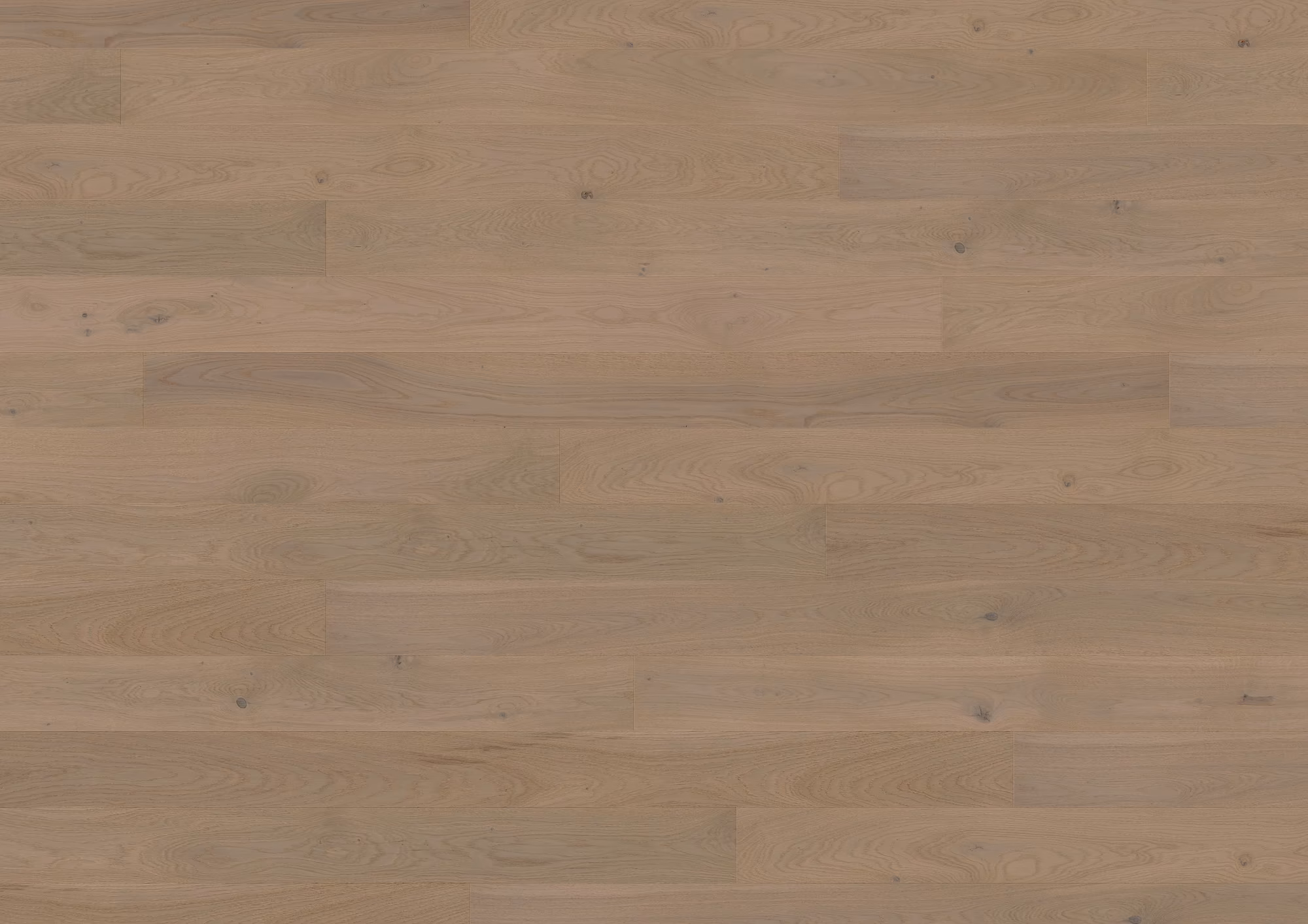 ter-huerne-13-mm-ter-huerne-parkett---eiche-chardonnay-13x162x2190mm-eiche-blauer-engel-30-jahre-im-wohnbereich-nein-landhausdiele-mattlackiert-02 13 mm ter Hürne Parkett - Eiche Chardonnay_ter-huerne-13-mm-ter-huerne-parkett---eiche-chardonnay-13x162x2190mm-eiche-blauer-engel-30-jahre-im-wohnbereich-nein-landhausdiele-mattlackiert-02