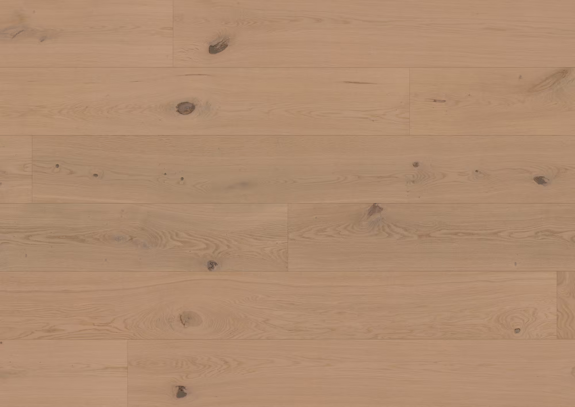 ter-huerne-11-mm-ter-huerne-hywood-evo---eiche-nieuw-land-11x233x2197mm-umlaufende-microfase-ultramattlackiert-nein-r10-landhausdiele-lifetime-im-wohnbereich-ja-02 11 mm ter Hürne Hywood EVO - Eiche Nieuw Land