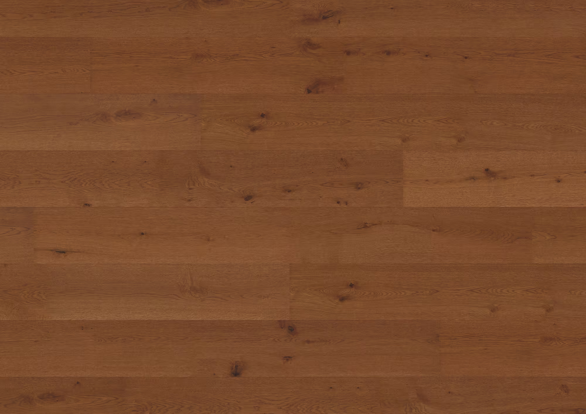 11 mm ter Hürne Hywood EVO - Eiche Joshua Tree