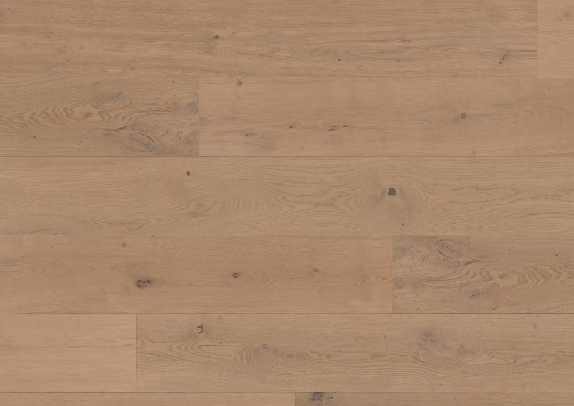 ter-huerne-11-mm-ter-huerne-hywood-evo---eiche-nieuw-land-11x270x2375mm-umlaufende-microfase-ultramattlackiert-schiffsboden-nein-r10-lifetime-im-wohnbereich-ja-02 11 mm ter Hürne Hywood EVO - Eiche Nieuw Land_ter-huerne-11-mm-ter-huerne-hywood-evo---eiche-nieuw-land-11x270x2375mm-umlaufende-microfase-ultramattlackiert-schiffsboden-nein-r10-lifetime-im-wohnbereich-ja-02