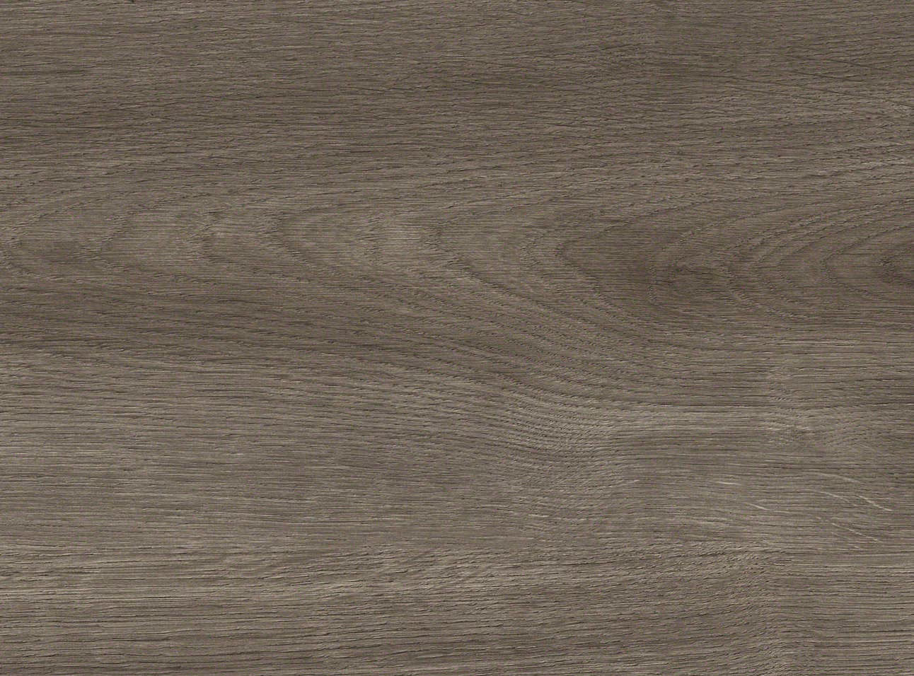 haro-8-mm-haro-laminatboden-tritty-100---eiche-eleganza-antikgrau-8x243x2200mm-nein-2332-landhausdiele-umlaufende-v-fuge-25-jahre-im-wohnbereich-topconnect-02 8 mm HARO Laminatboden Tritty 100 - Eiche Eleganza antikgrau_haro-8-mm-haro-laminatboden-tritty-100---eiche-eleganza-antikgrau-8x243x2200mm-nein-2332-landhausdiele-umlaufende-v-fuge-25-jahre-im-wohnbereich-topconnect-02