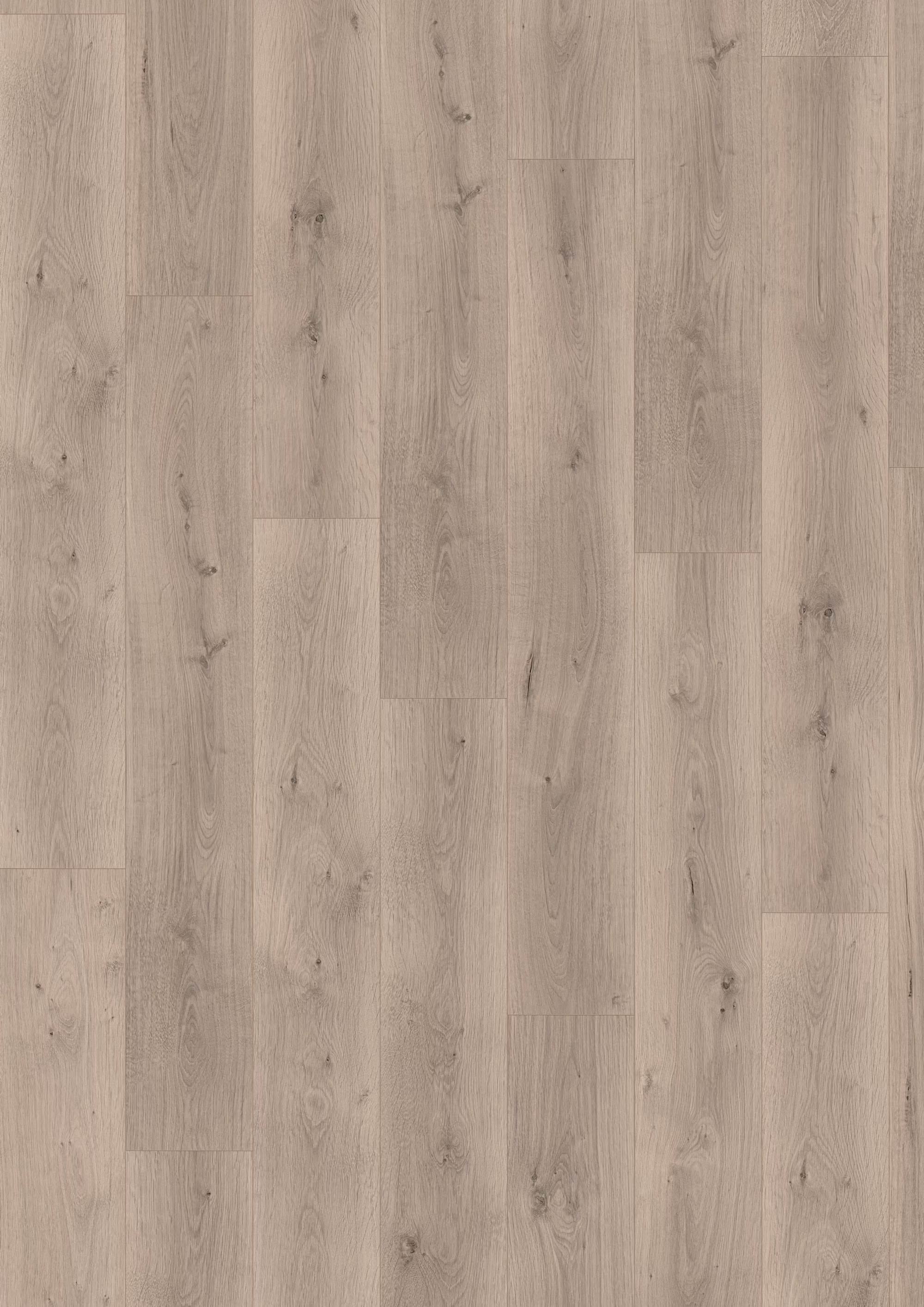 egger-8-mm-egger---pinot-eiche-hellgrau---el2112-8x193x1292mm-blauer-engel-24h-wasserresistent-2333-nein-kurzdiele-25-jahre-im-wohnbereich-03 8 mm EGGER - Pinot Eiche hellgrau - EL2112_egger-8-mm-egger---pinot-eiche-hellgrau---el2112-8x193x1292mm-blauer-engel-24h-wasserresistent-2333-nein-kurzdiele-25-jahre-im-wohnbereich-03