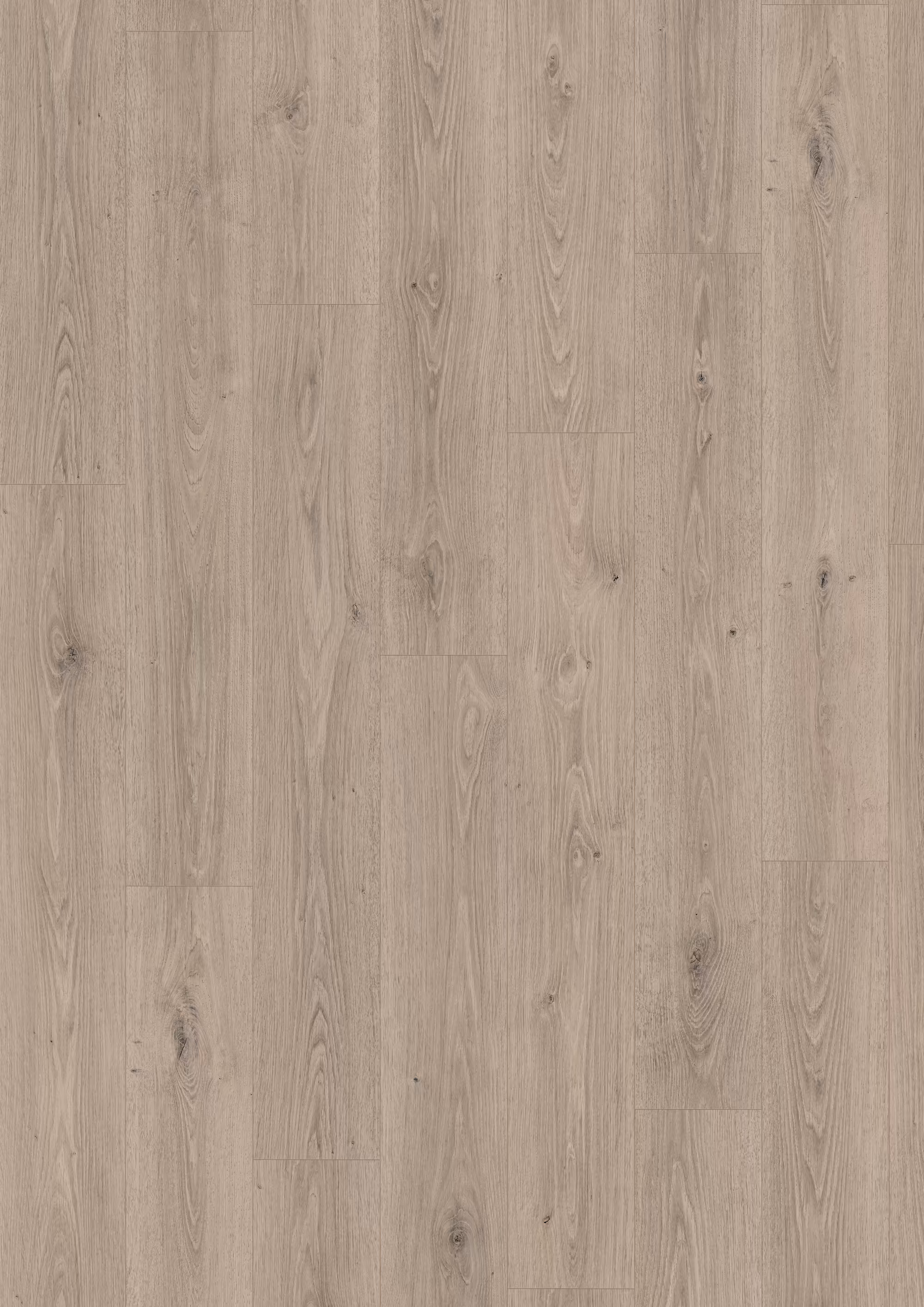 10 mm EGGER - Treviso Eiche grau - EL2184_egger-10-mm-egger---treviso-eiche-grau---el2184-10x193x1292mm-blauer-engel-24h-wasserresistent-20-jahre-im-wohnbereich-nein-2332-kurzdiele-03