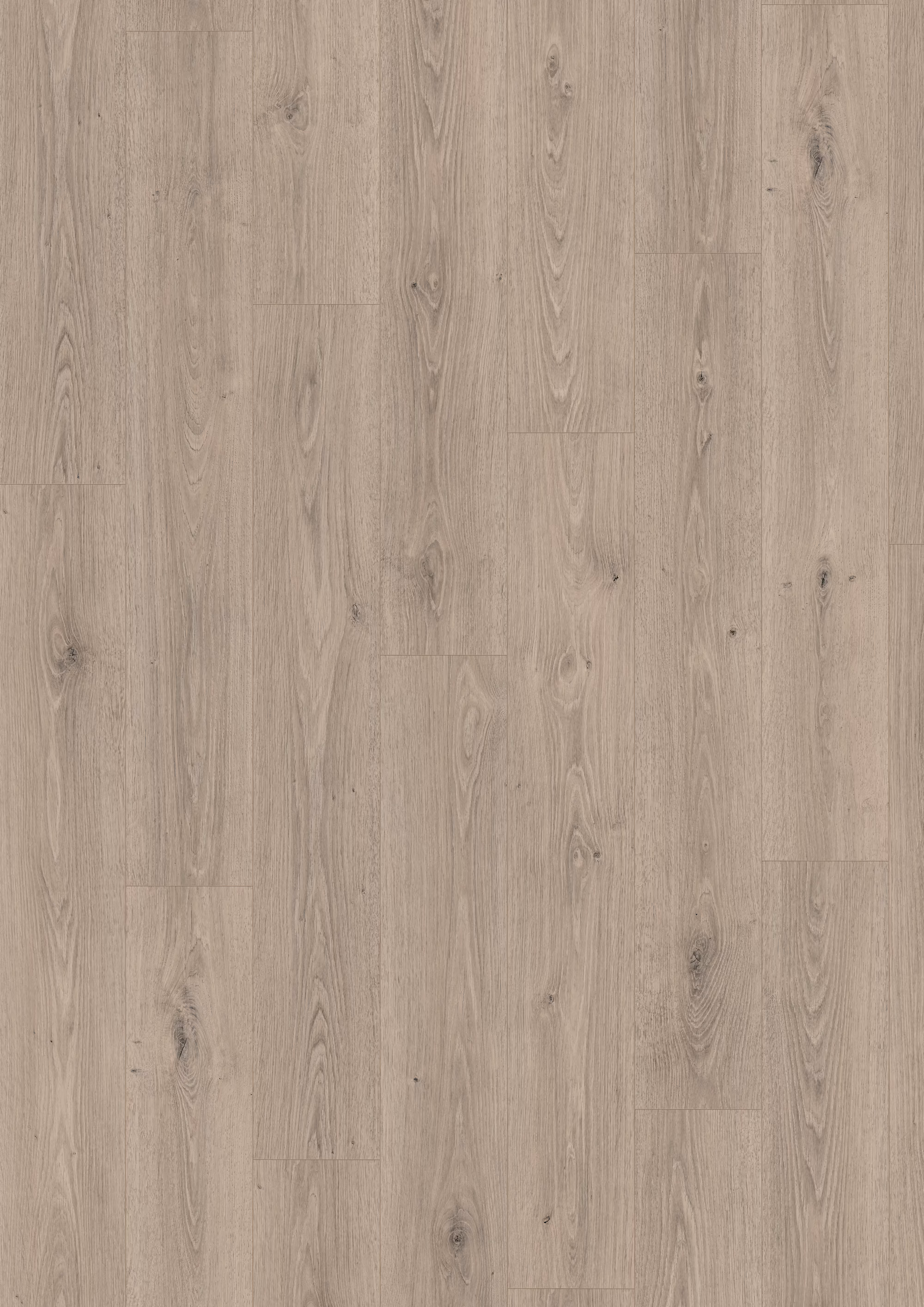 egger-10-mm-egger---treviso-eiche-grau---el2184-10x193x1292mm-blauer-engel-24h-wasserresistent-20-jahre-im-wohnbereich-nein-2332-kurzdiele-03 10 mm EGGER - Treviso Eiche grau - EL2184_egger-10-mm-egger---treviso-eiche-grau---el2184-10x193x1292mm-blauer-engel-24h-wasserresistent-20-jahre-im-wohnbereich-nein-2332-kurzdiele-03