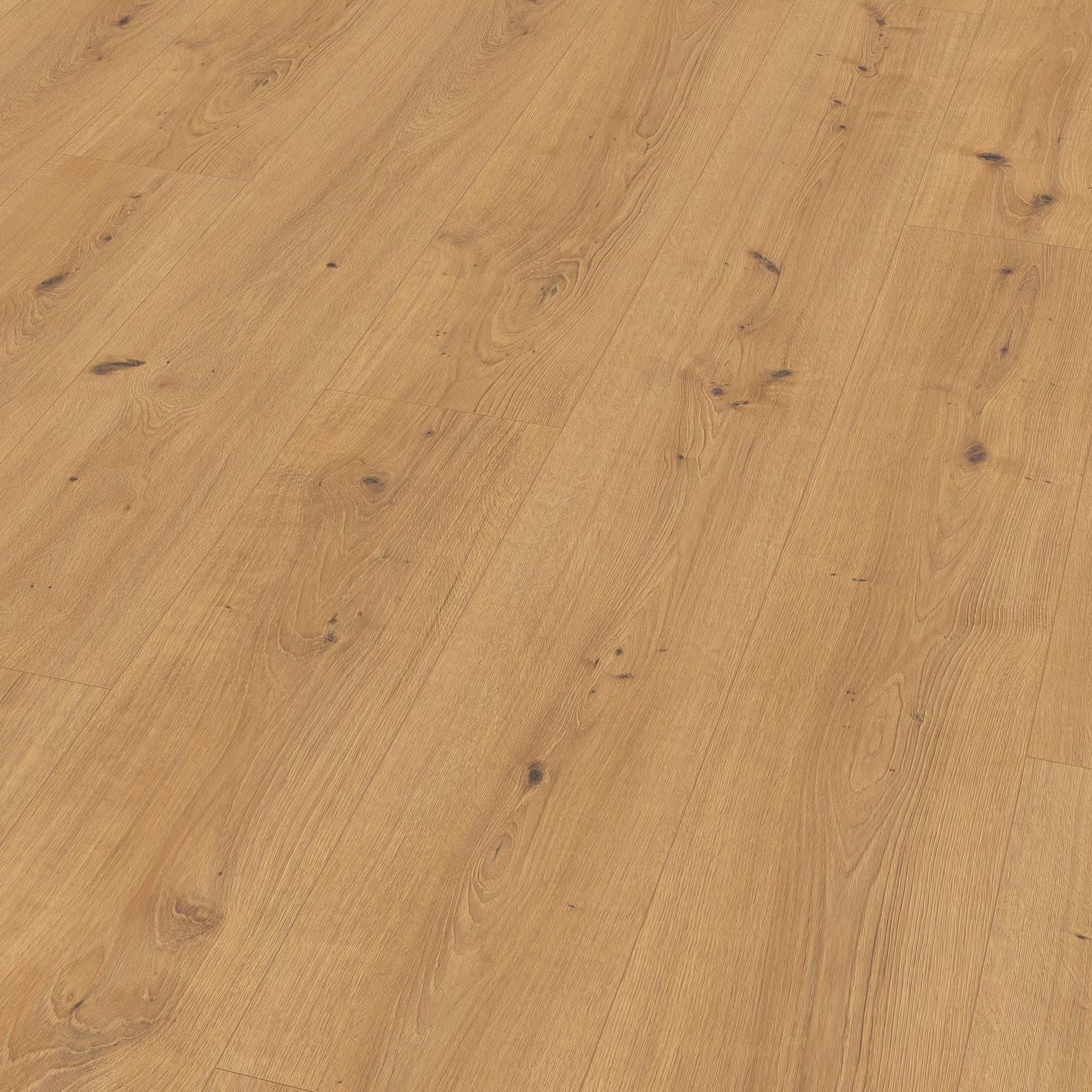 egger-10-mm-egger---cadiz-eiche-honig---el2137-10x246x2050mm-blauer-engel-24h-wasserresistent-2333-nein-landhausdiele-25-jahre-im-wohnbereich-01 10 mm EGGER - Cadiz Eiche honig - EL2137_egger-10-mm-egger---cadiz-eiche-honig---el2137-10x246x2050mm-blauer-engel-24h-wasserresistent-2333-nein-landhausdiele-25-jahre-im-wohnbereich-01