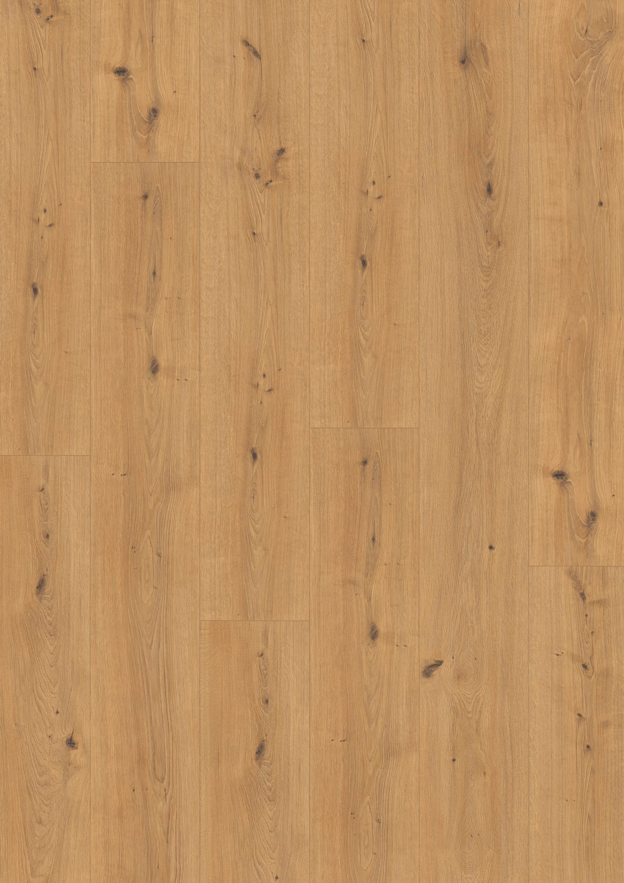 egger-10-mm-egger---cadiz-eiche-honig---el2137-10x246x2050mm-blauer-engel-24h-wasserresistent-2333-nein-landhausdiele-25-jahre-im-wohnbereich-03 10 mm EGGER - Cadiz Eiche honig - EL2137_egger-10-mm-egger---cadiz-eiche-honig---el2137-10x246x2050mm-blauer-engel-24h-wasserresistent-2333-nein-landhausdiele-25-jahre-im-wohnbereich-03