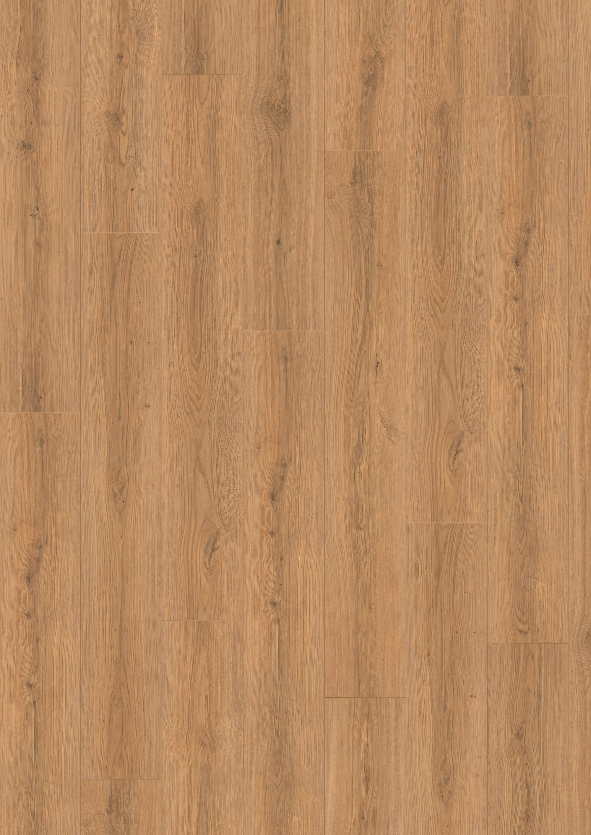 egger-8-mm-egger---padua-eiche-honig---el2172-8x246x1292mm-blauer-engel-24h-wasserresistent-20-jahre-im-wohnbereich-nein-2332-kurzdiele-03 8 mm EGGER - Padua Eiche honig - EL2172_egger-8-mm-egger---padua-eiche-honig---el2172-8x246x1292mm-blauer-engel-24h-wasserresistent-20-jahre-im-wohnbereich-nein-2332-kurzdiele-03