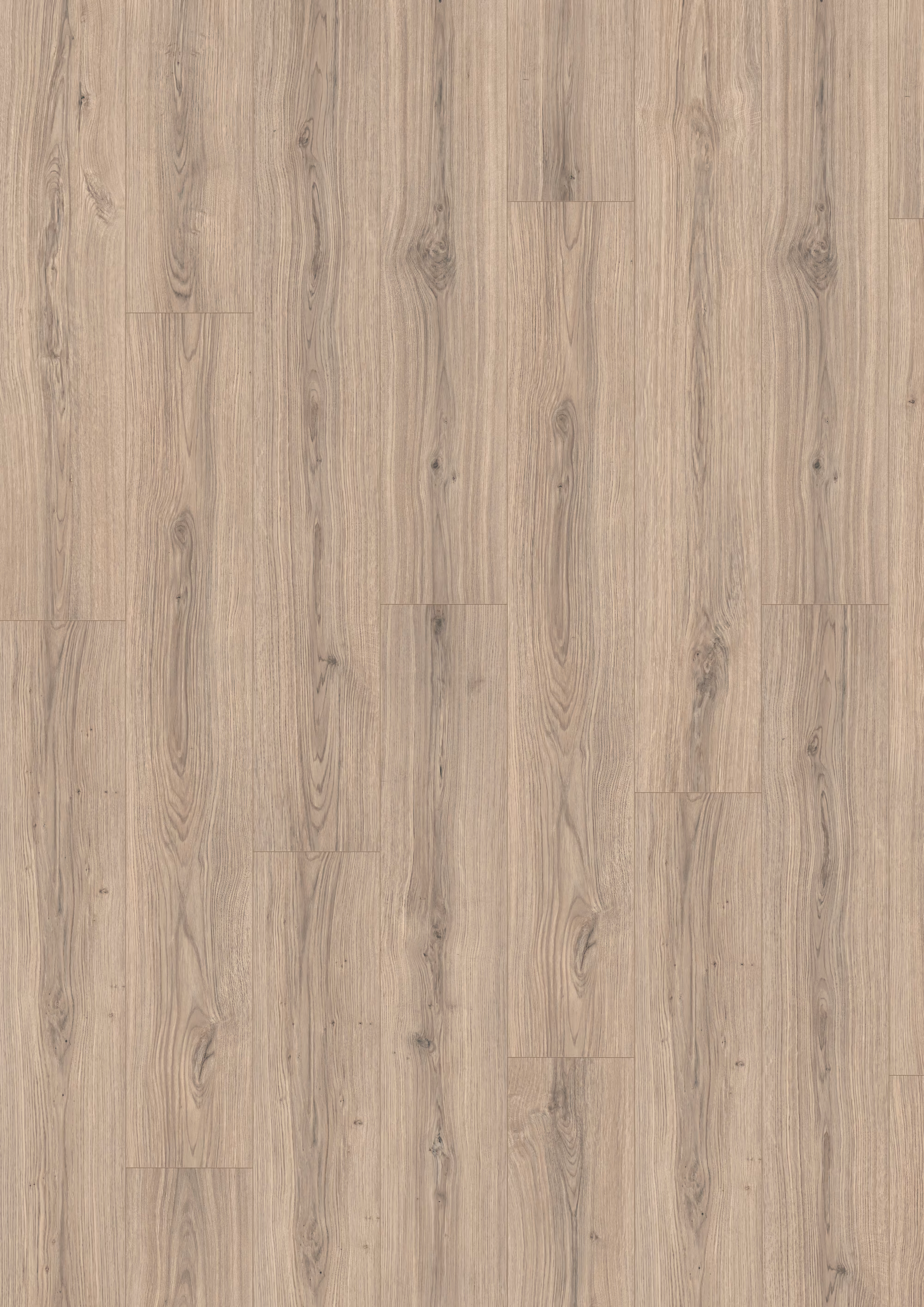 egger-8-mm-egger---padua-eiche-grau---el2173-8x193x1292mm-blauer-engel-nein-kurzdiele-25-jahre-im-wohnbereich-03 8 mm EGGER - Padua Eiche grau - EL2173_egger-8-mm-egger---padua-eiche-grau---el2173-8x193x1292mm-blauer-engel-nein-kurzdiele-25-jahre-im-wohnbereich-03