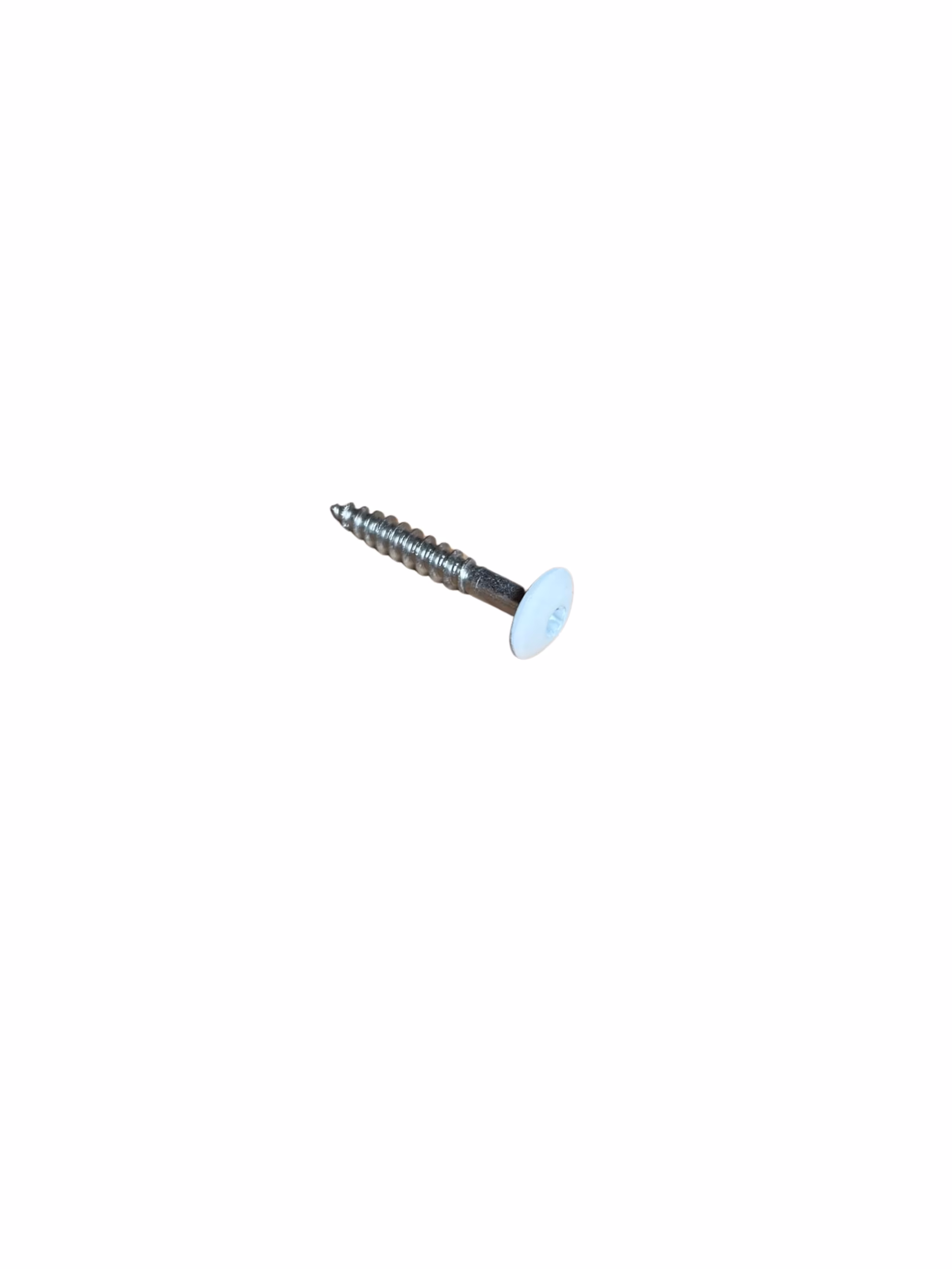 re-schraub-55-x-35-mm-schrauben-v4a-kopflackiert---ral-7035-lichtgrau-0x0mm-01 5,5 x 35 mm Schrauben V4A, kopflackiert - RAL 7035 lichtgrau_re-schraub-55-x-35-mm-schrauben-v4a-kopflackiert---ral-7035-lichtgrau-0x0mm-01