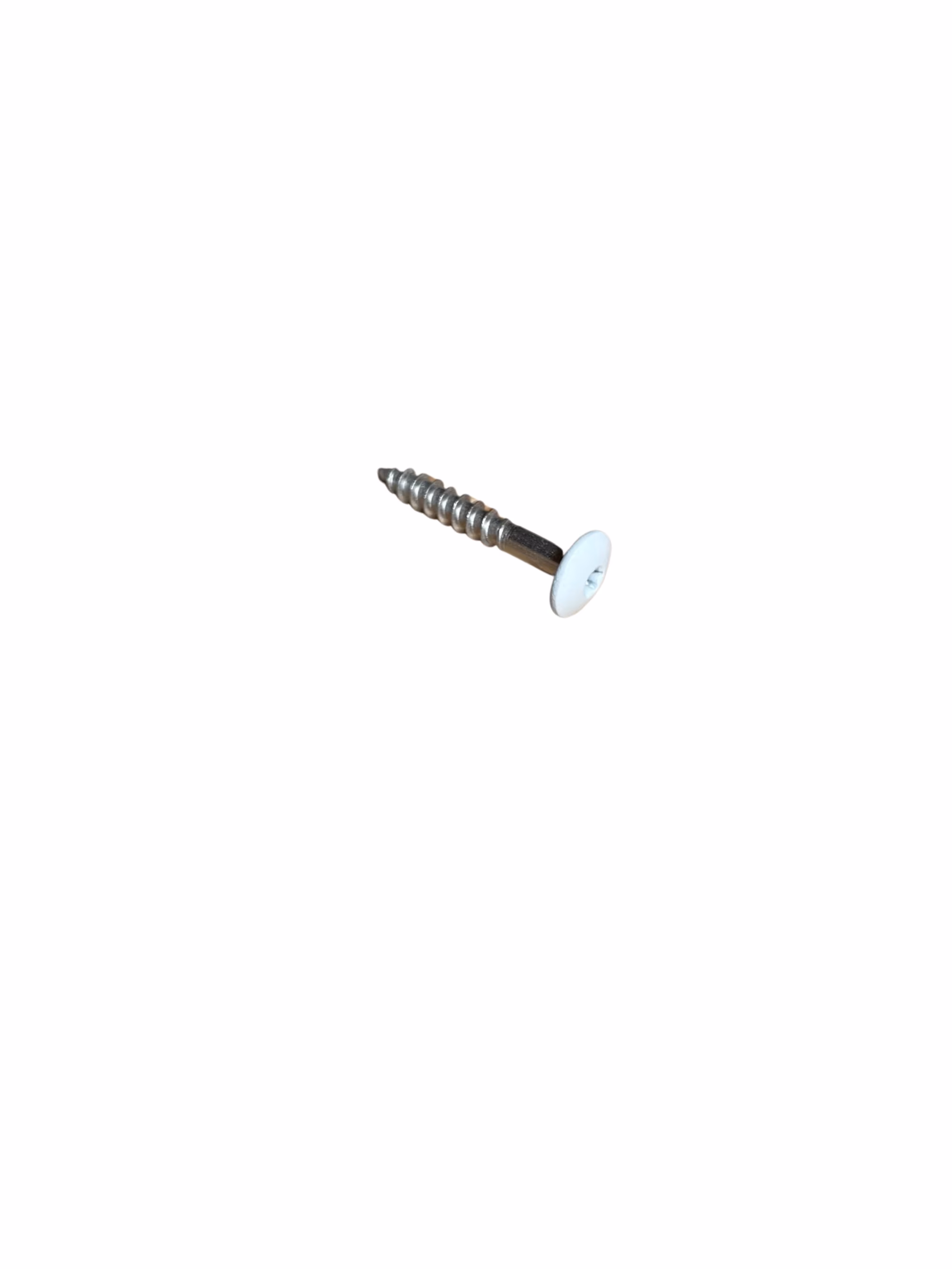 re-schraub-55-x-55-mm-schrauben-v4a-kopflackiert---ral-9010-weiss-0x0mm-01 5,5 x 55 mm Schrauben V4A, kopflackiert - RAL 9010 weiß_re-schraub-55-x-55-mm-schrauben-v4a-kopflackiert---ral-9010-weiss-0x0mm-01