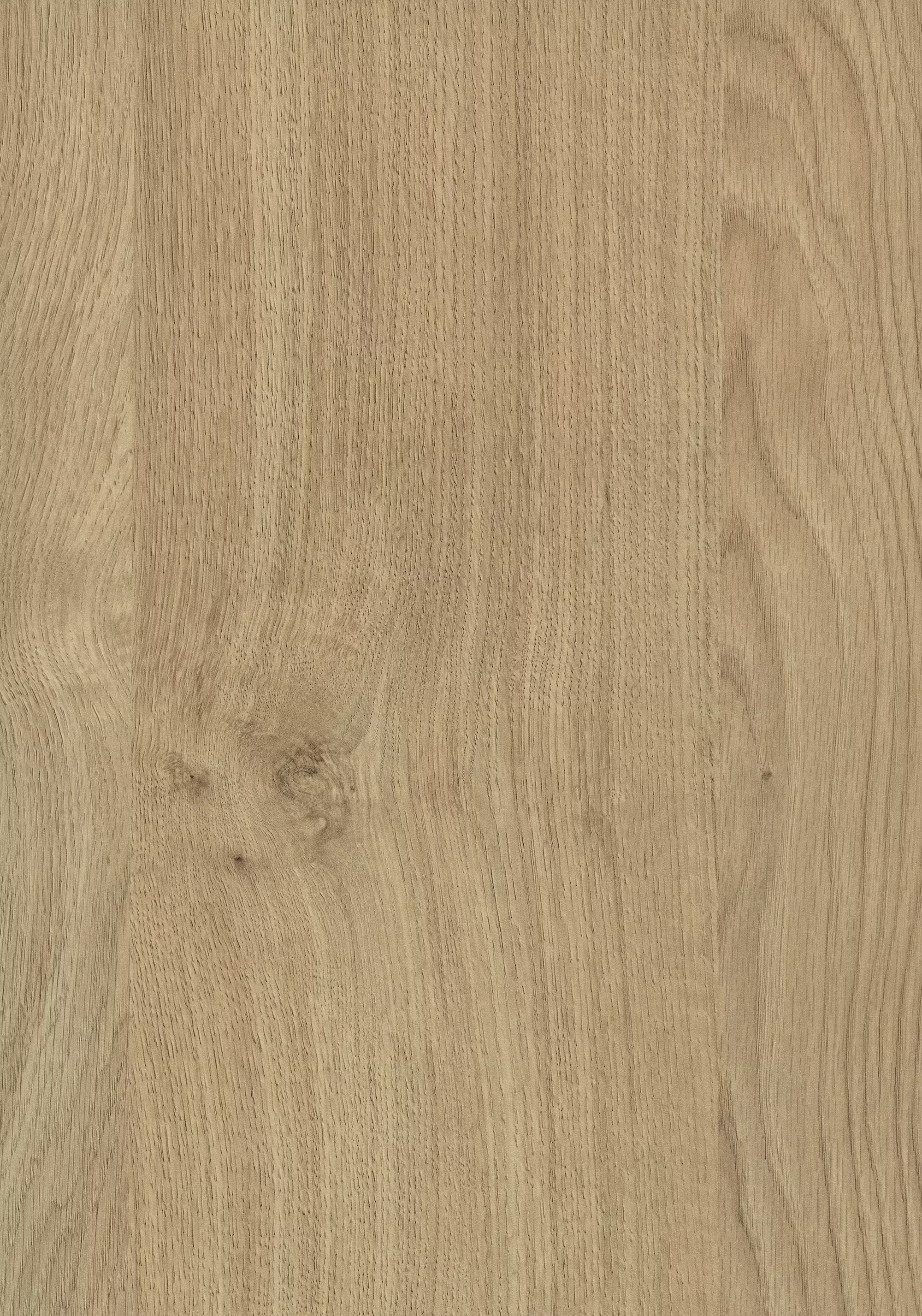 2/23 mm Egger ABS-Kante H3170 ST12 - Kendal Eiche natur_egger-223-mm-egger-abs-kante-h3170-st12---kendal-eiche-natur-2x23x75000mm-holz-01