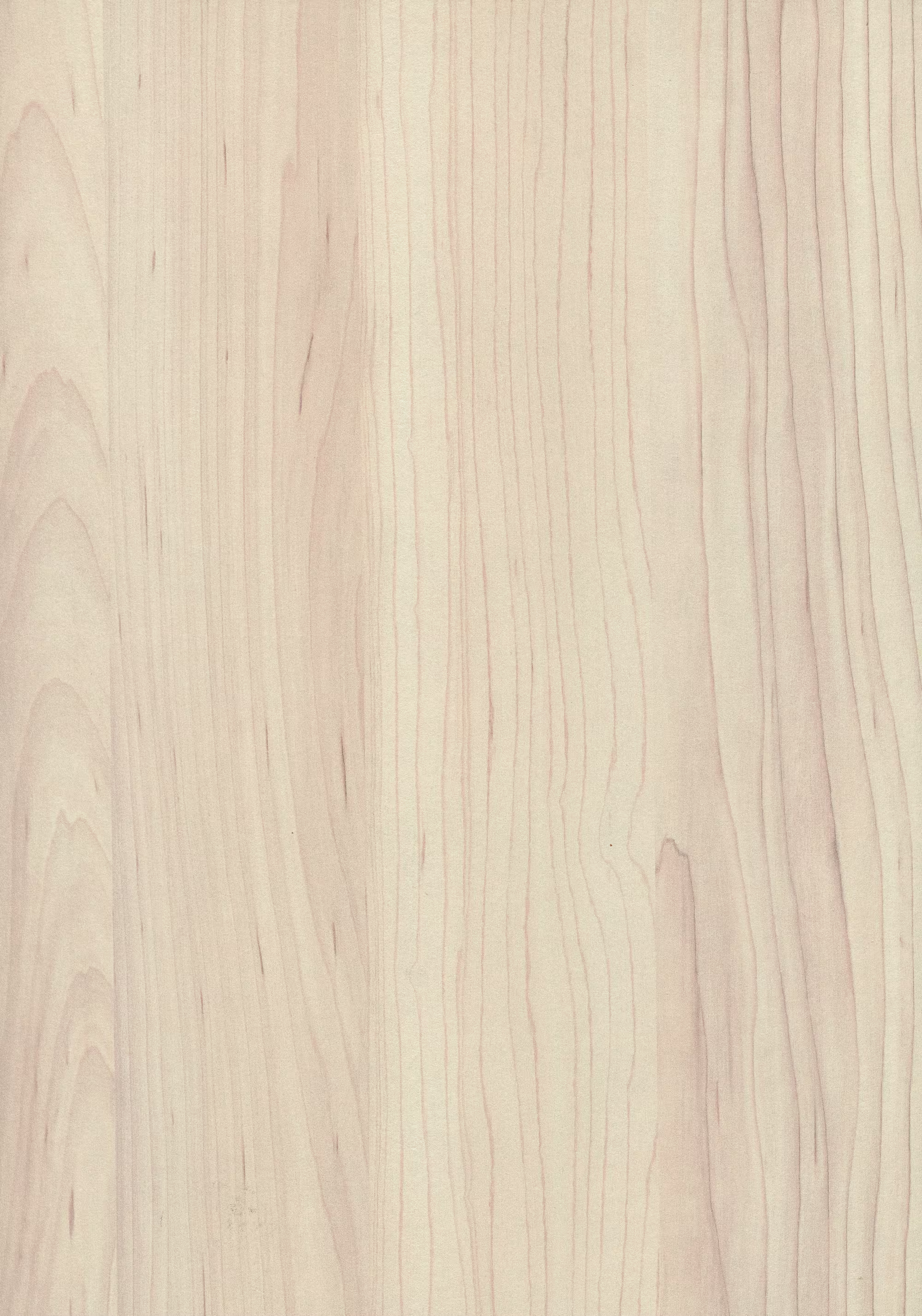 egger-233-mm-egger-abs-kante-h3860-st9---hard-maple-champagne-2x33x75000mm-holz-01 2/33 mm Egger ABS-Kante H3860 ST9 - Hard Maple champagne_egger-233-mm-egger-abs-kante-h3860-st9---hard-maple-champagne-2x33x75000mm-holz-01