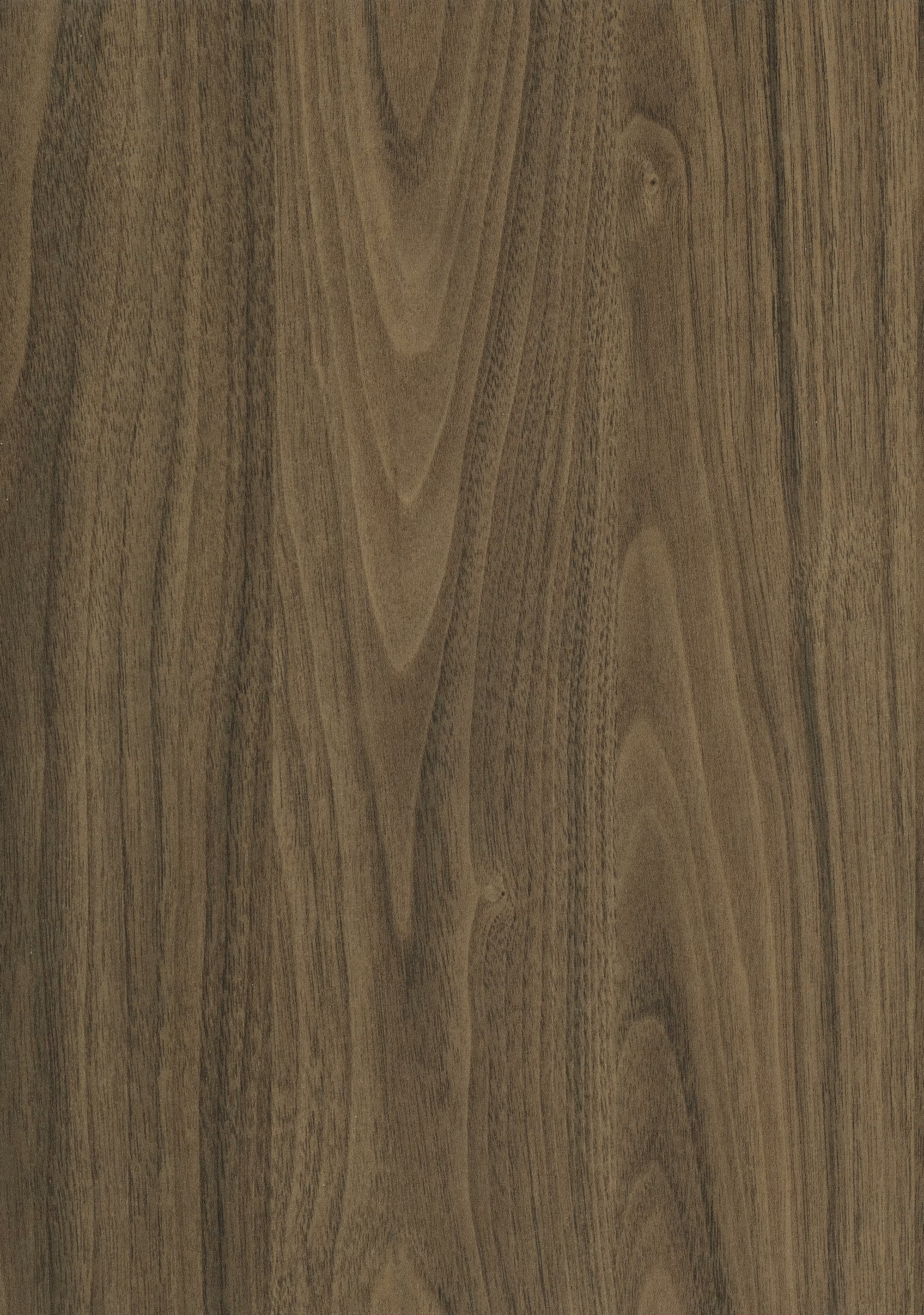 egger-223-mm-egger-abs-kante-h3710-st12---carini-nussbaum-natur-2x23x75000mm-holz-02 2/23 mm Egger ABS-Kante H3710 ST12 - Carini Nussbaum natur_egger-223-mm-egger-abs-kante-h3710-st12---carini-nussbaum-natur-2x23x75000mm-holz-02