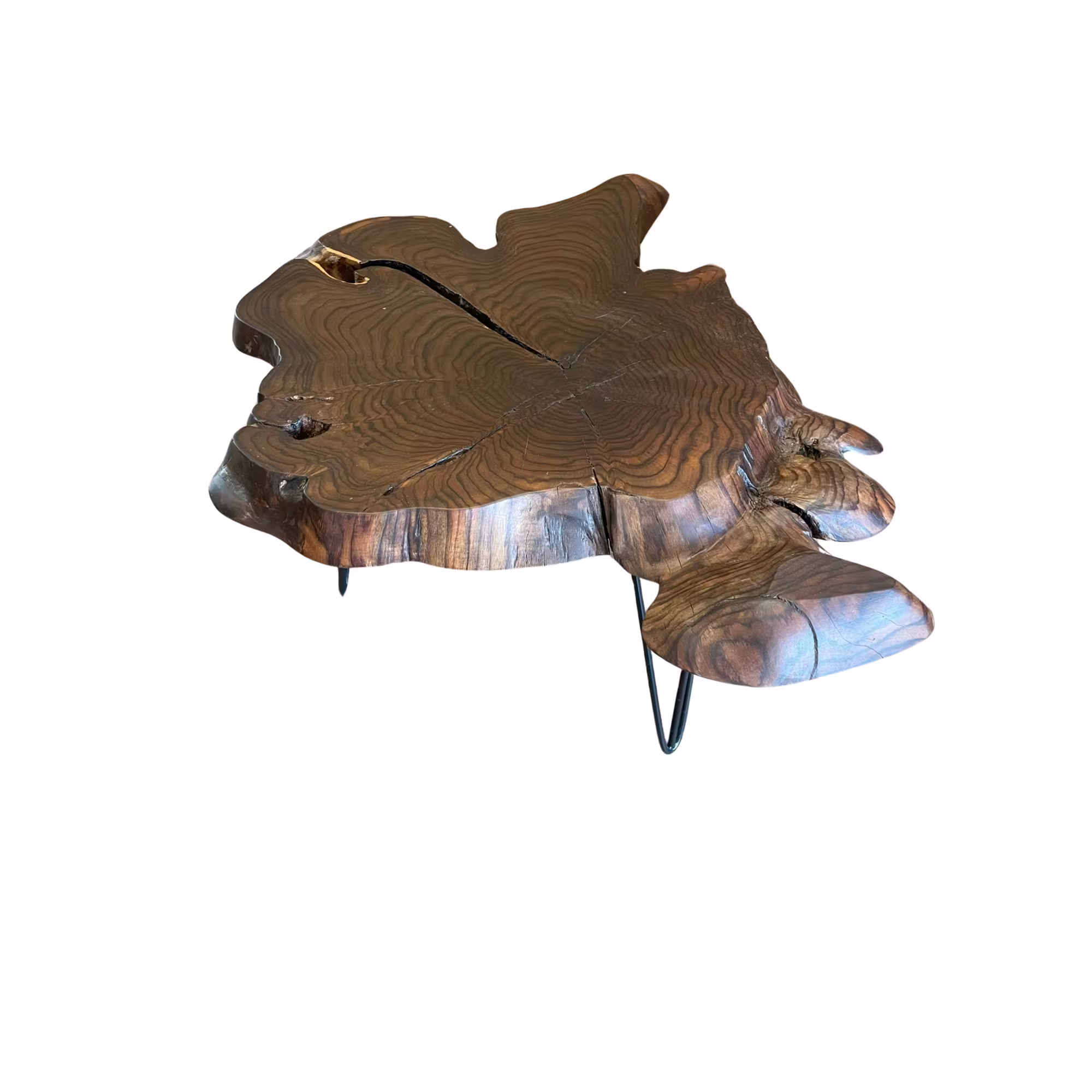 Rosewood Cookie_rosewood-cookie-0x0mm-01